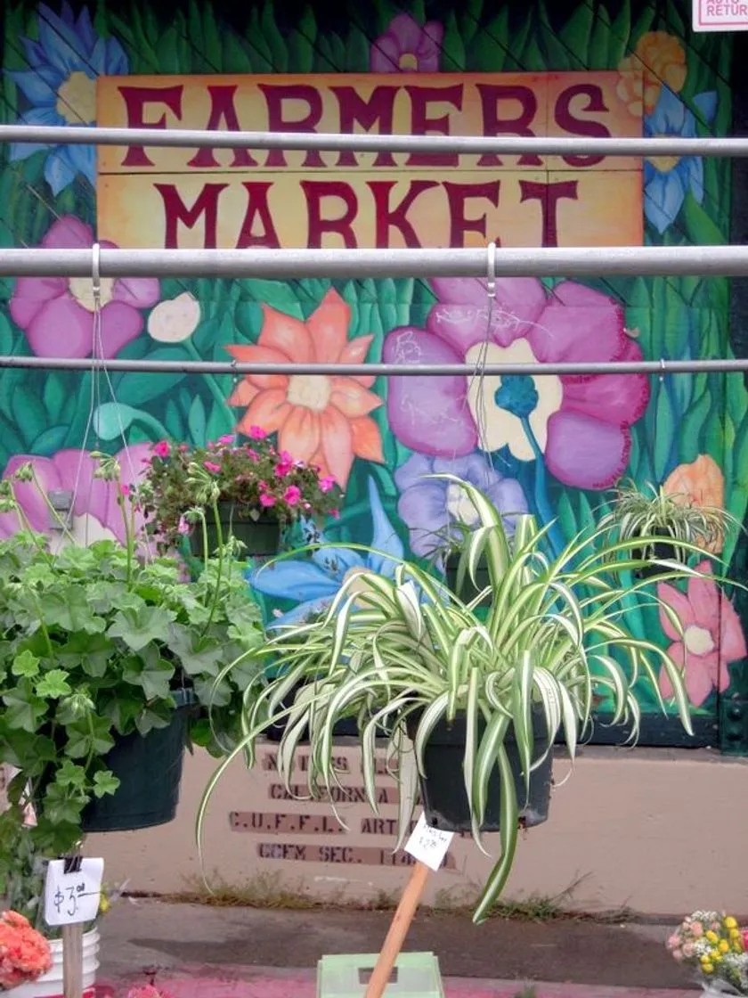 Marketplace