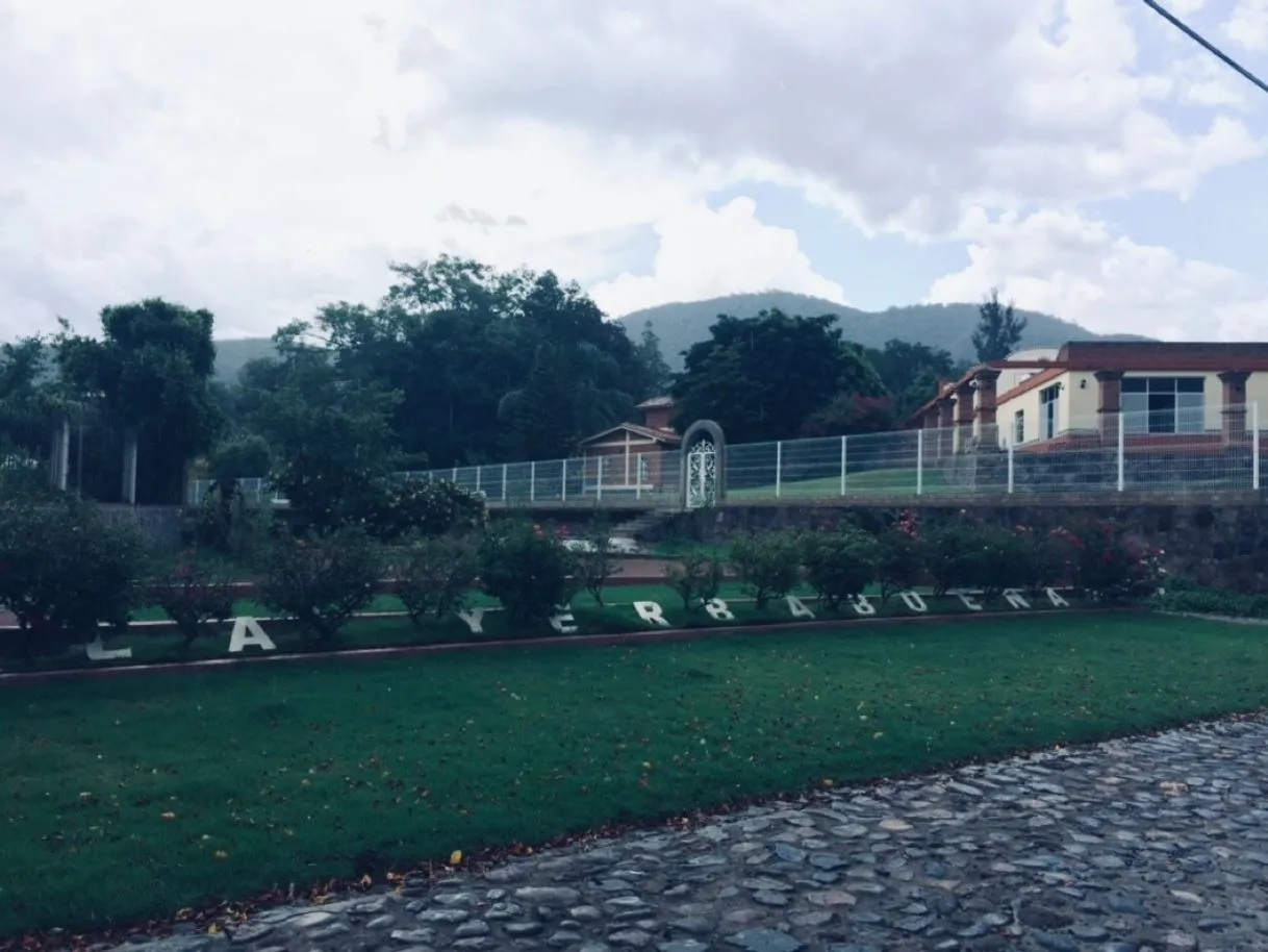 Yerbabuena