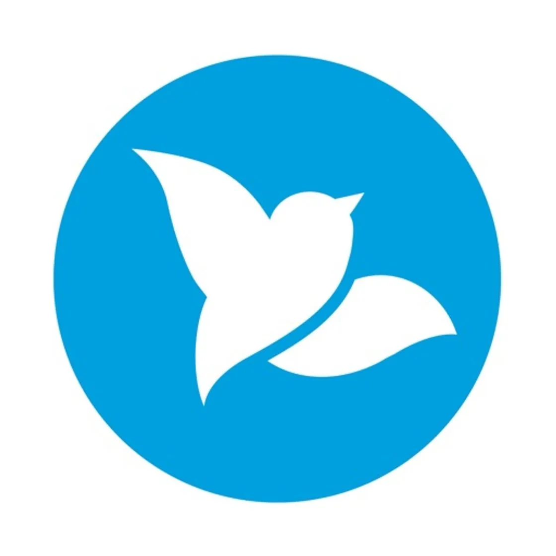 Bluebird by American Express