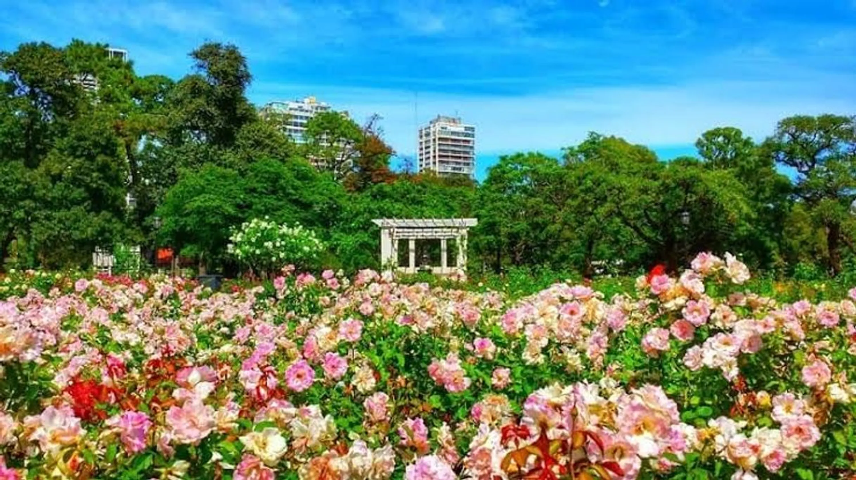 Bosques de Palermo