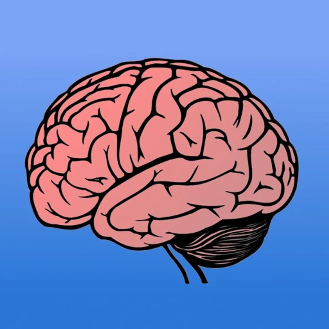 Memory Trainer Brain Challenge - Intellect Mind Experiment