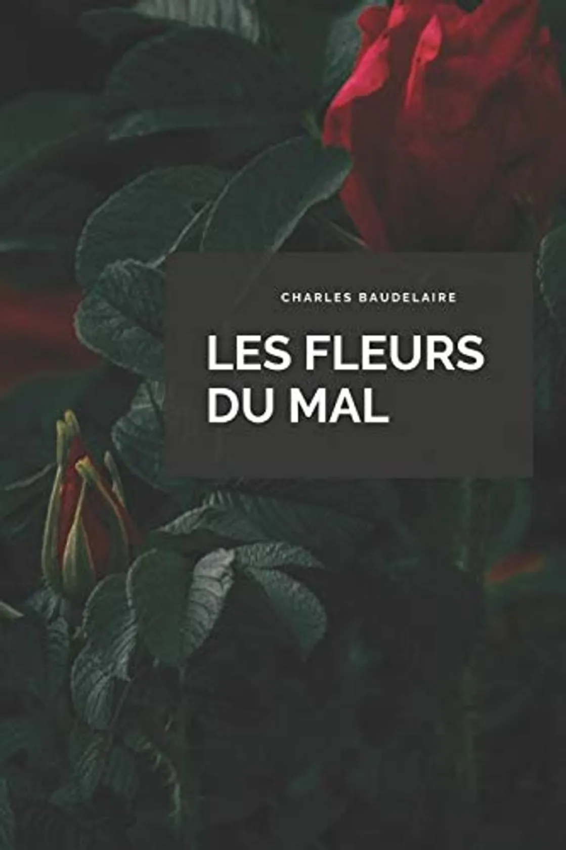 Les Fleurs du Mal