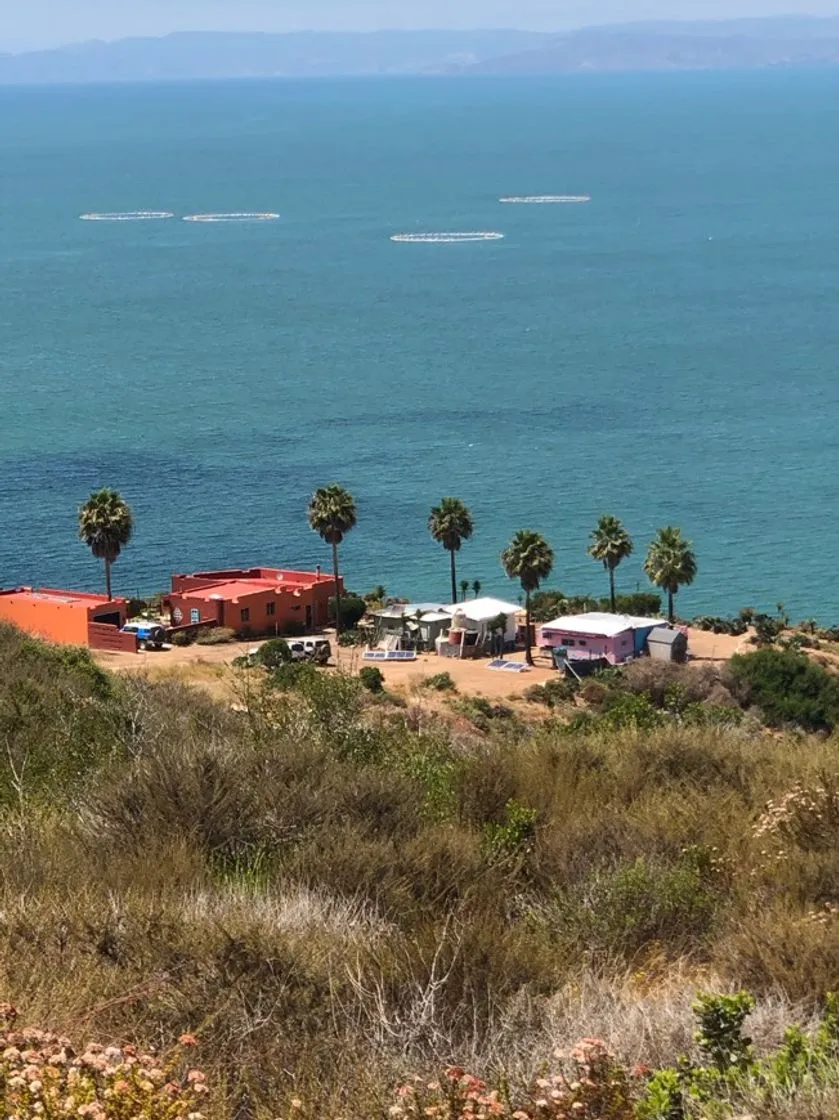 La Joya