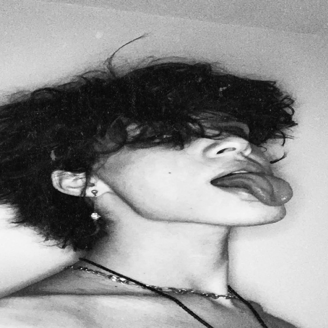 Sink My Fangs
