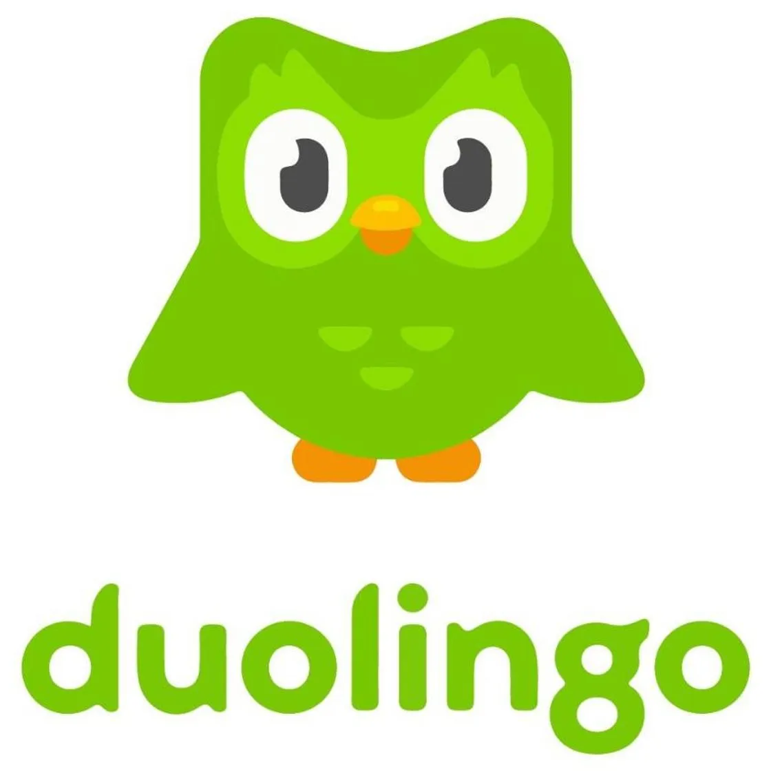 Duolingo, um aplicativo para quem quer aprender outro idioma