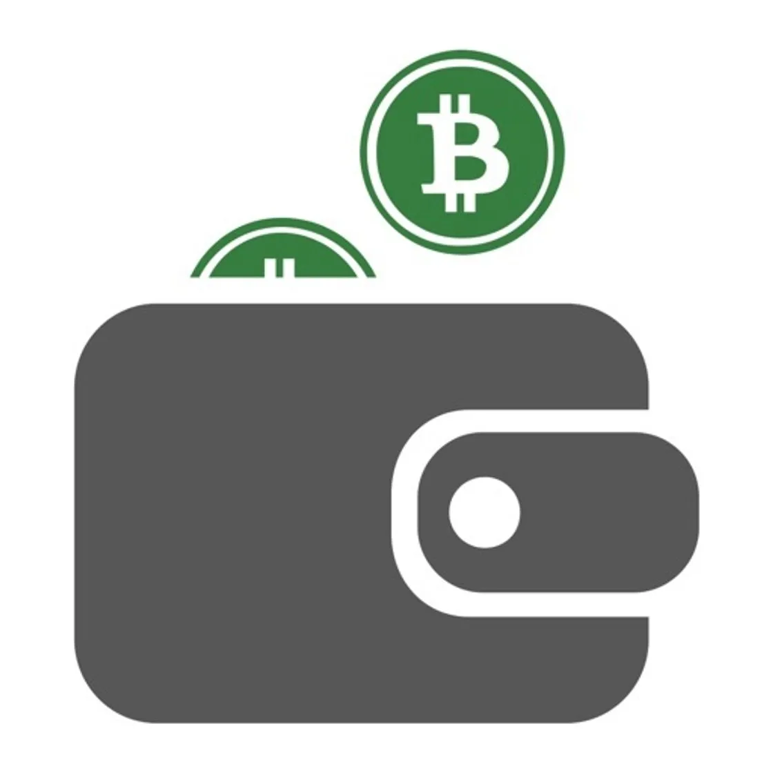 Coin Bitcoin Wallet