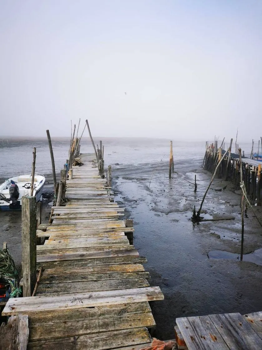 Cais Palafítico da Carrasqueira