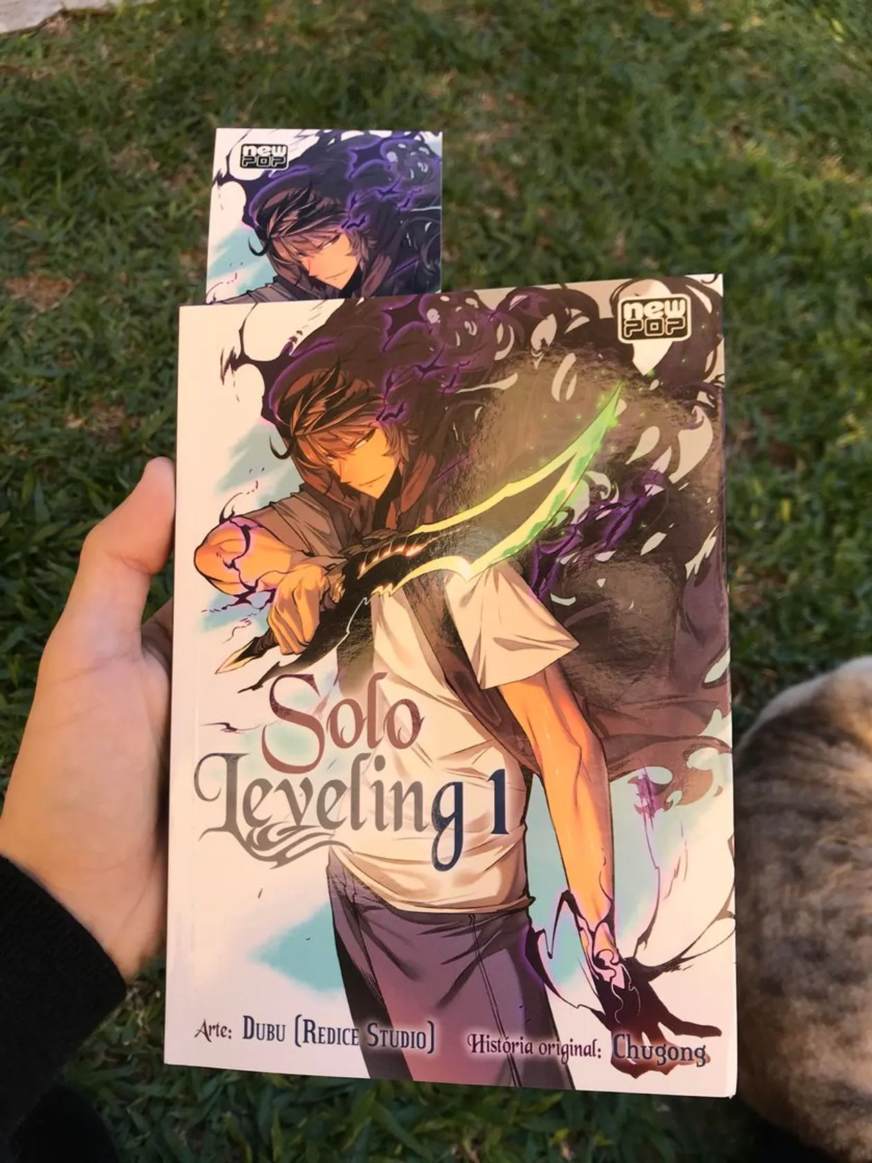 Solo Leveling