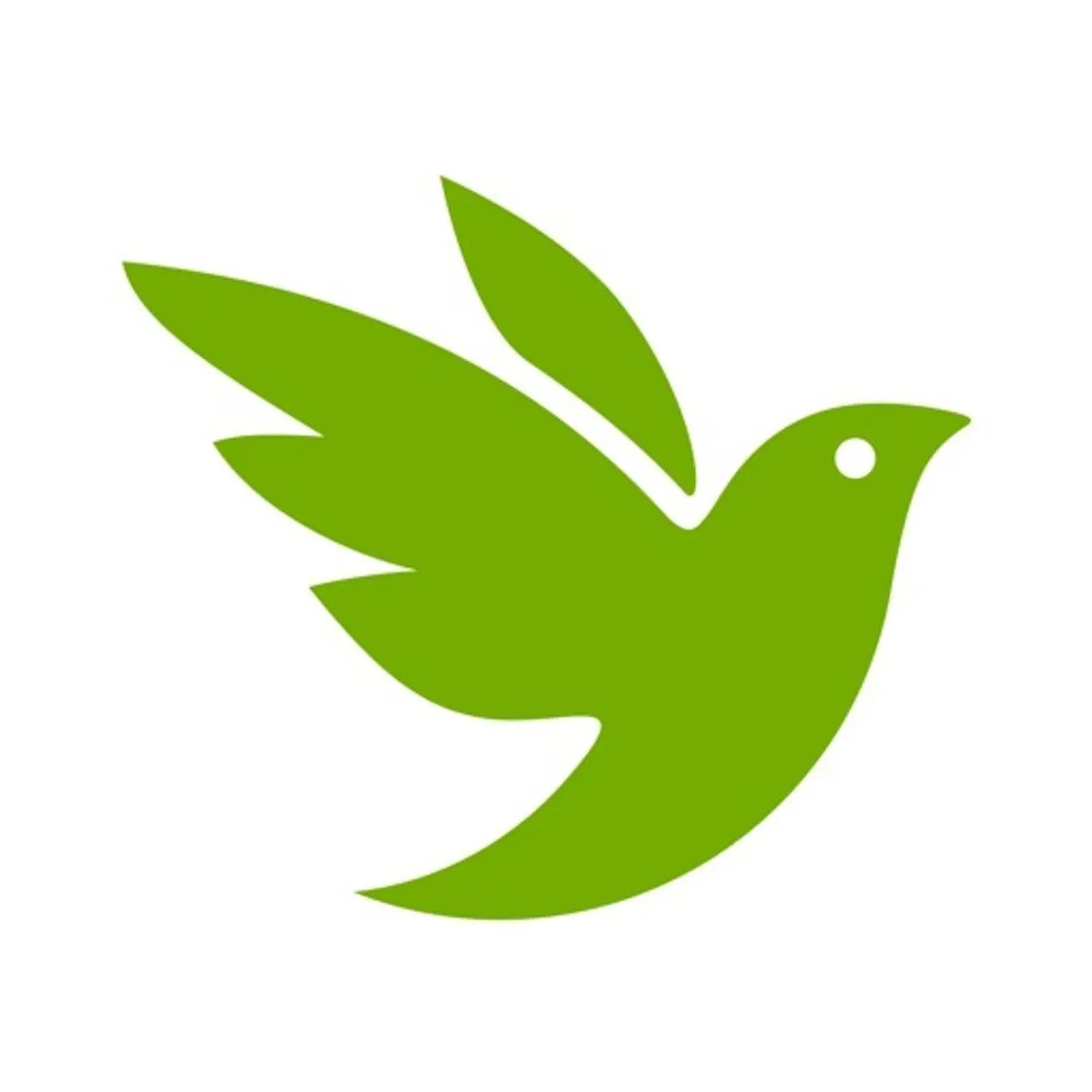 iNaturalist