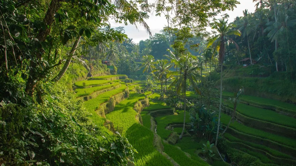 Ubud