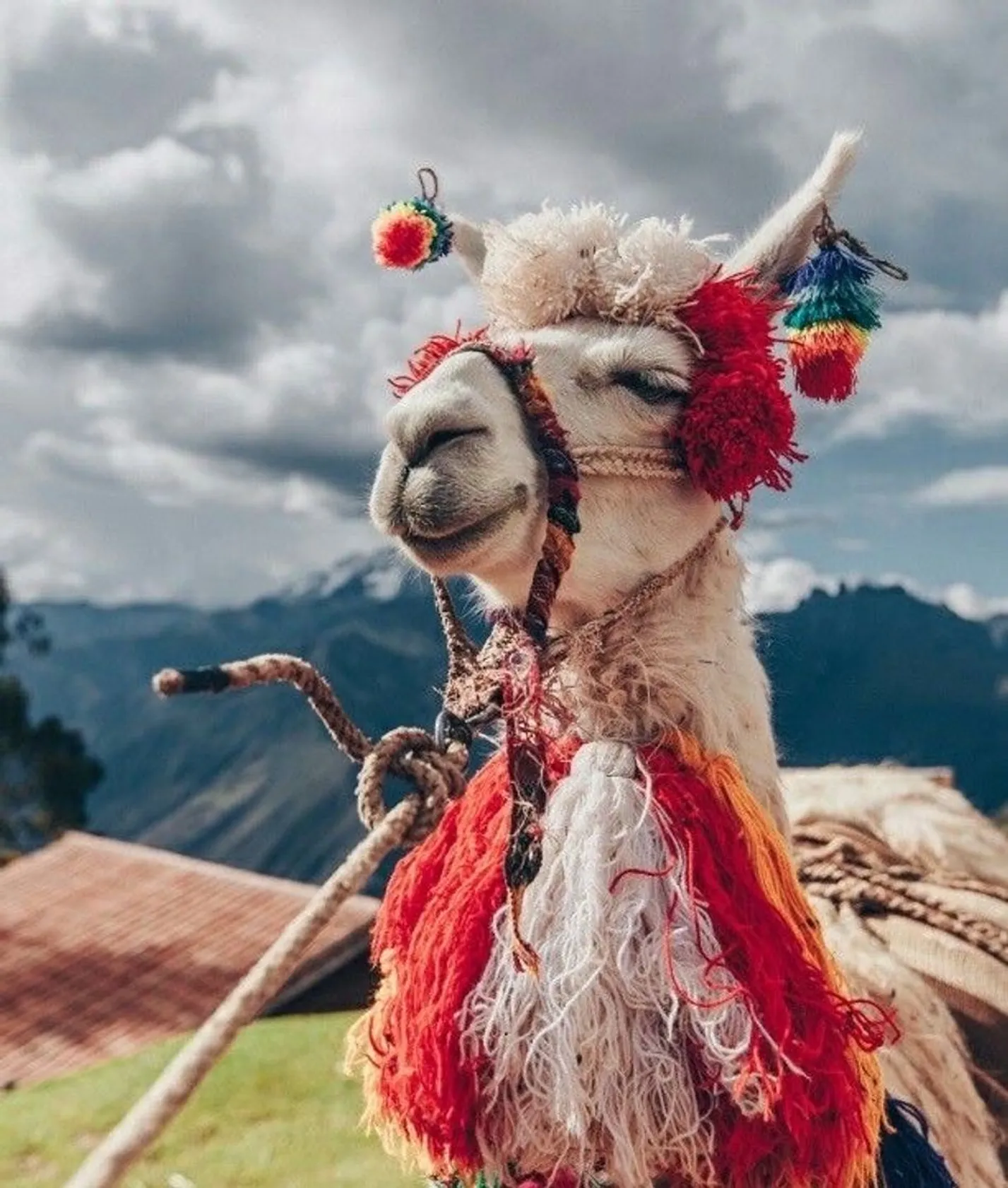 Perú