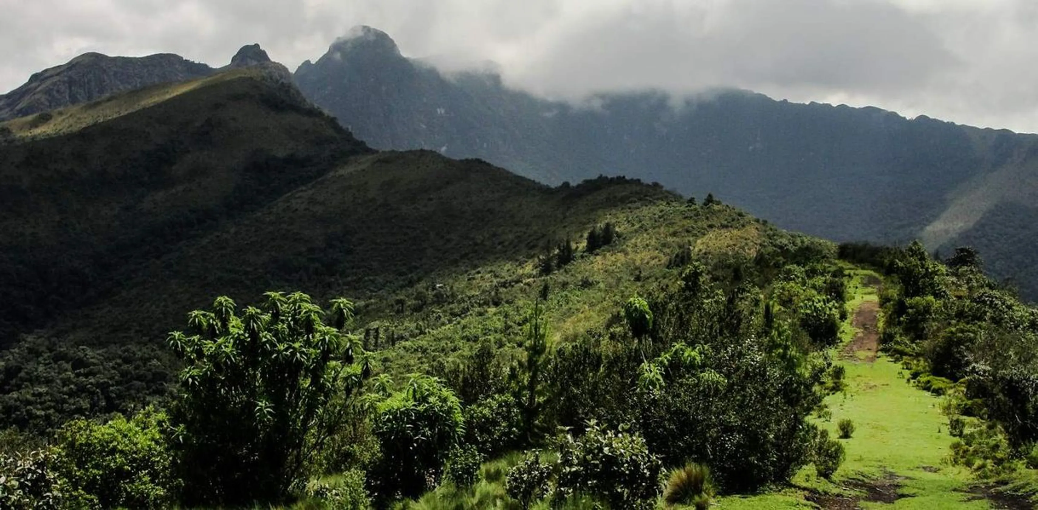 Refugio de vida silvestre Pasochoa