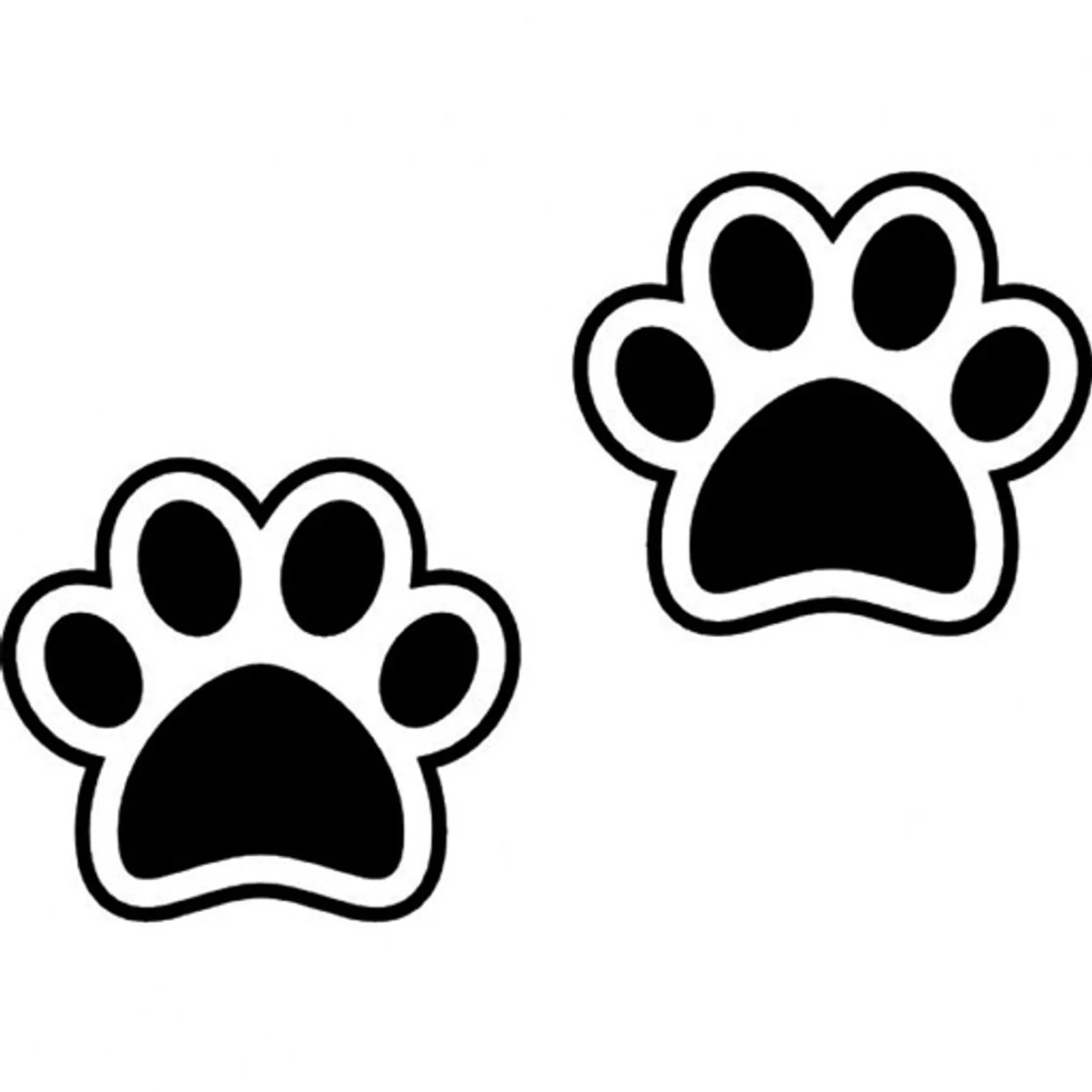 DoggZam!