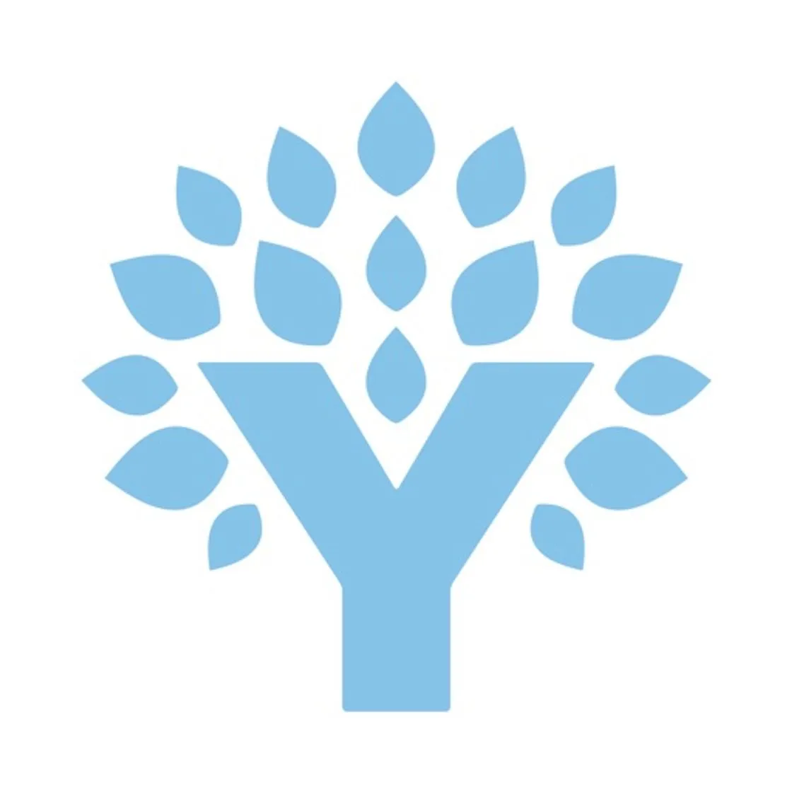 YNAB (You Need A Budget)
