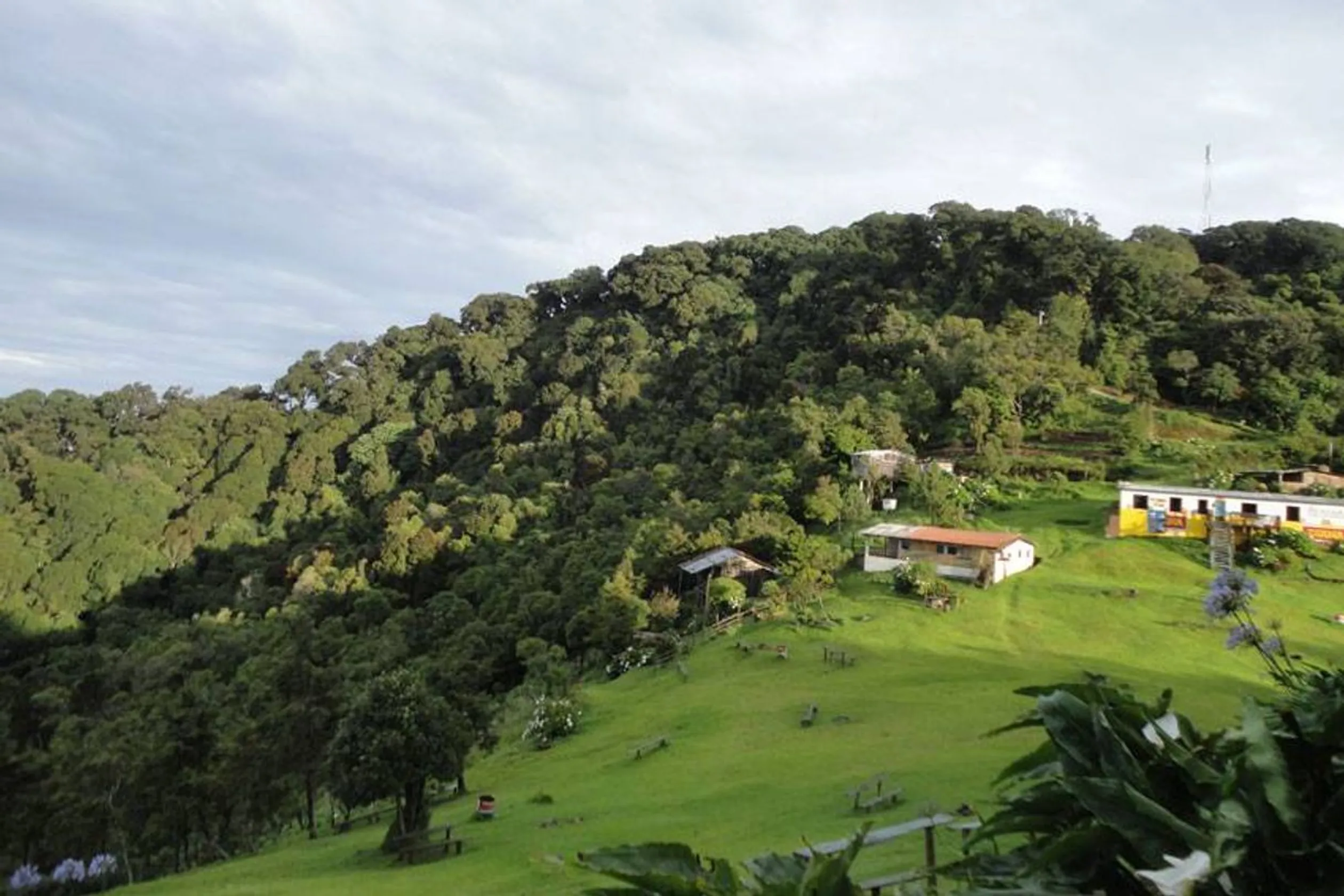 El Pital Bosque Nebuloso