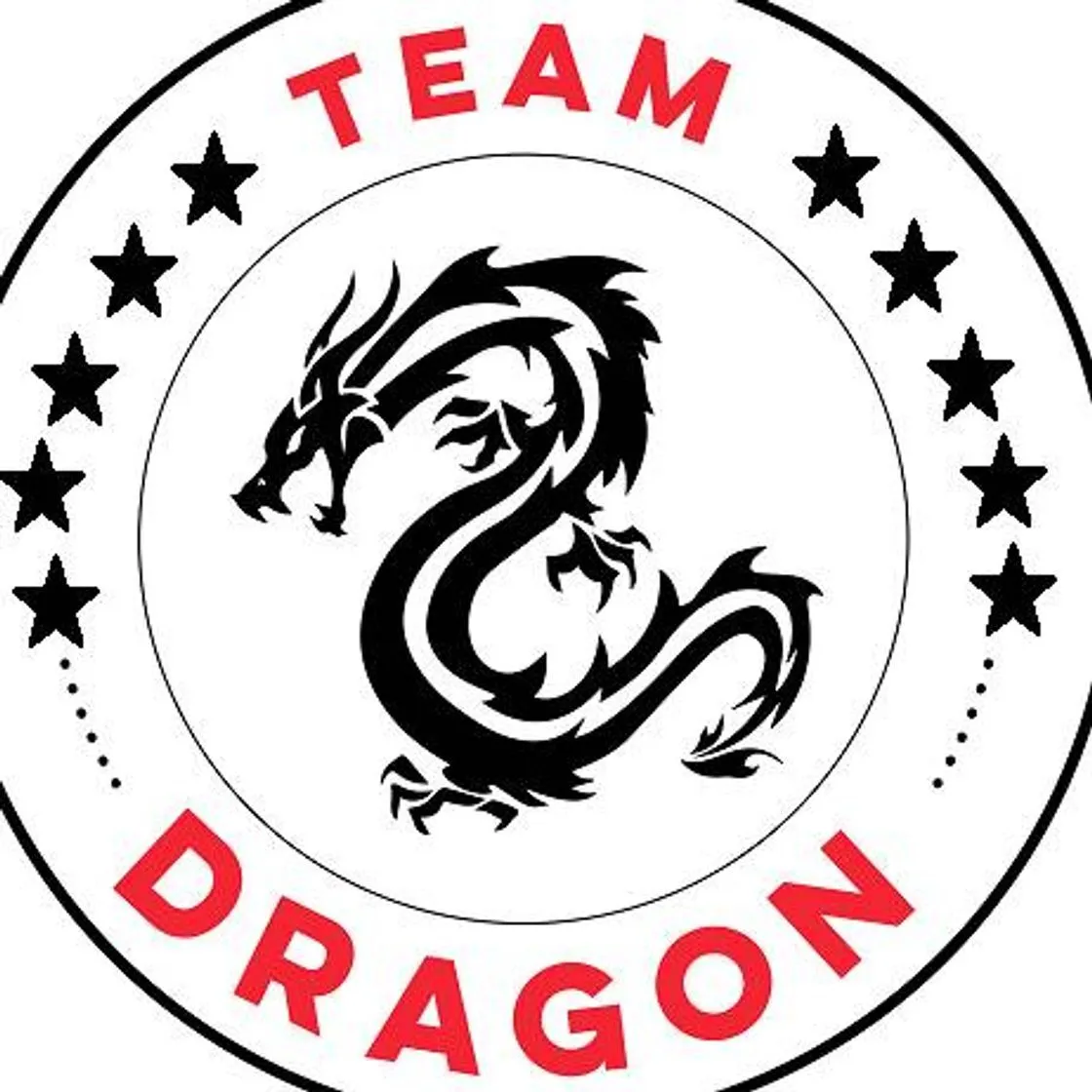 TEAM DRAGÓN