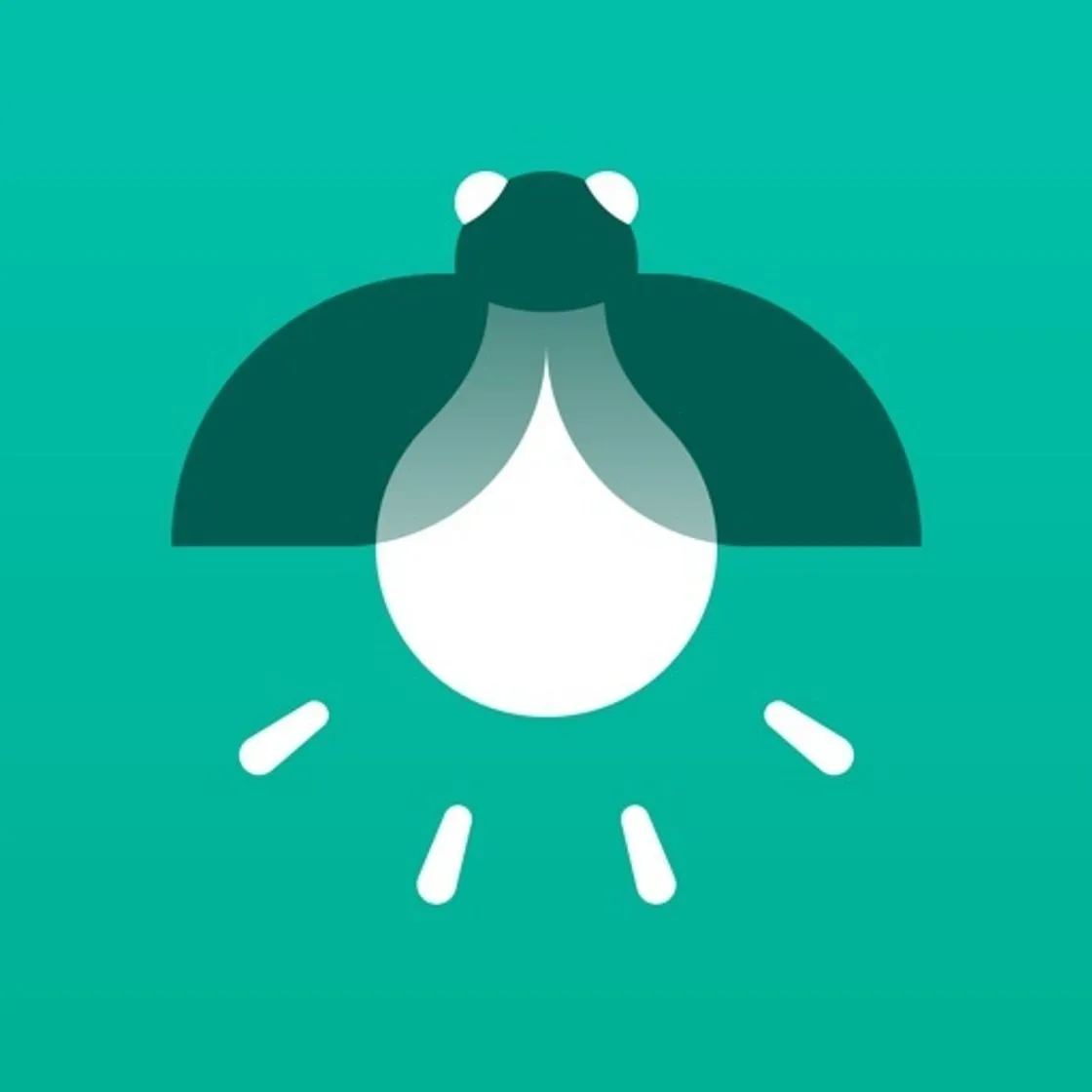 JouleBug