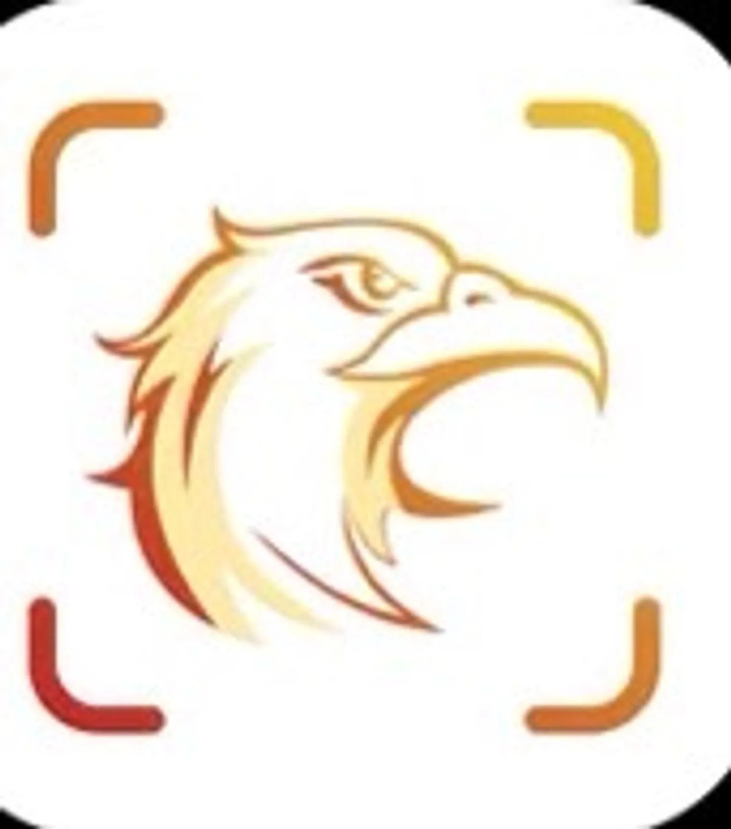 Picture Bird - Reconocer Aves en App Store