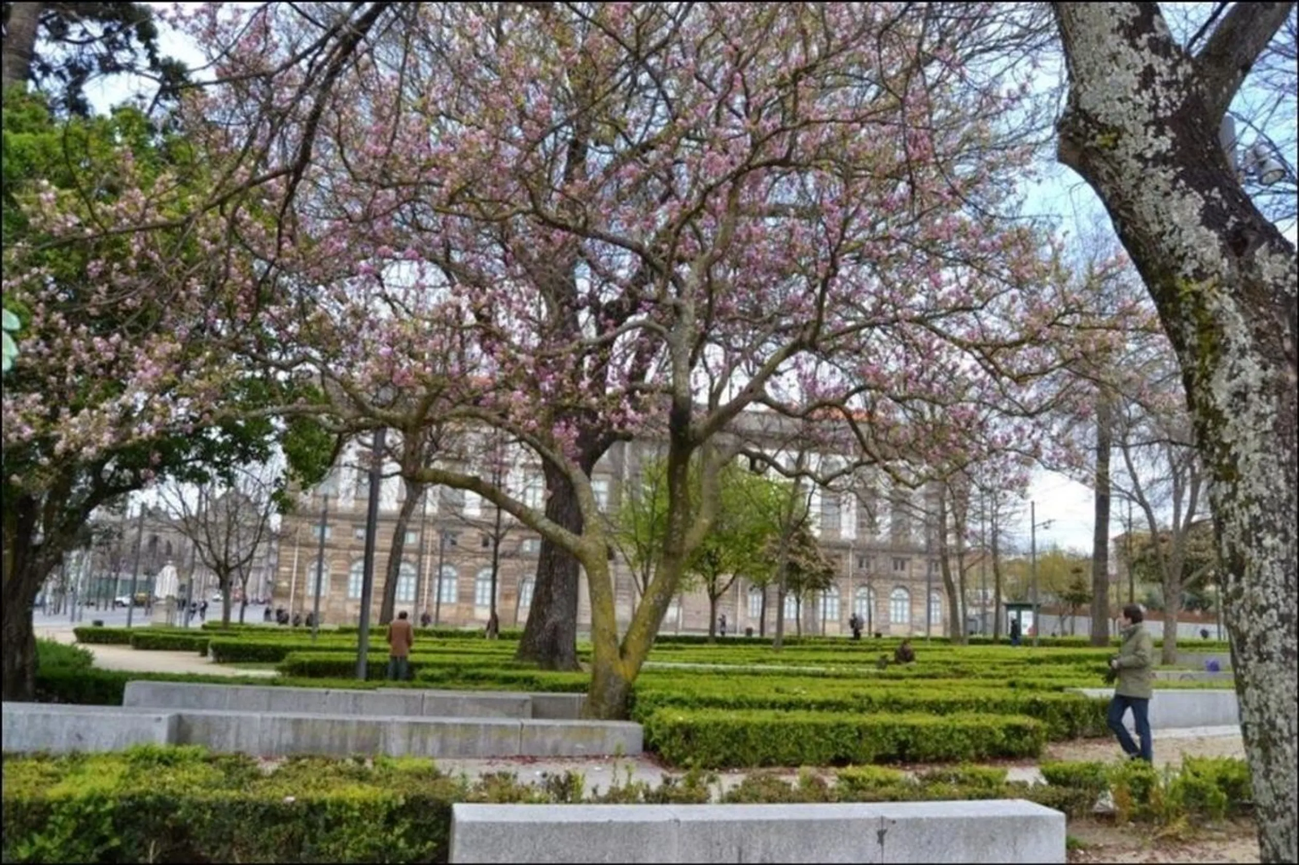 Jardim de João Chagas