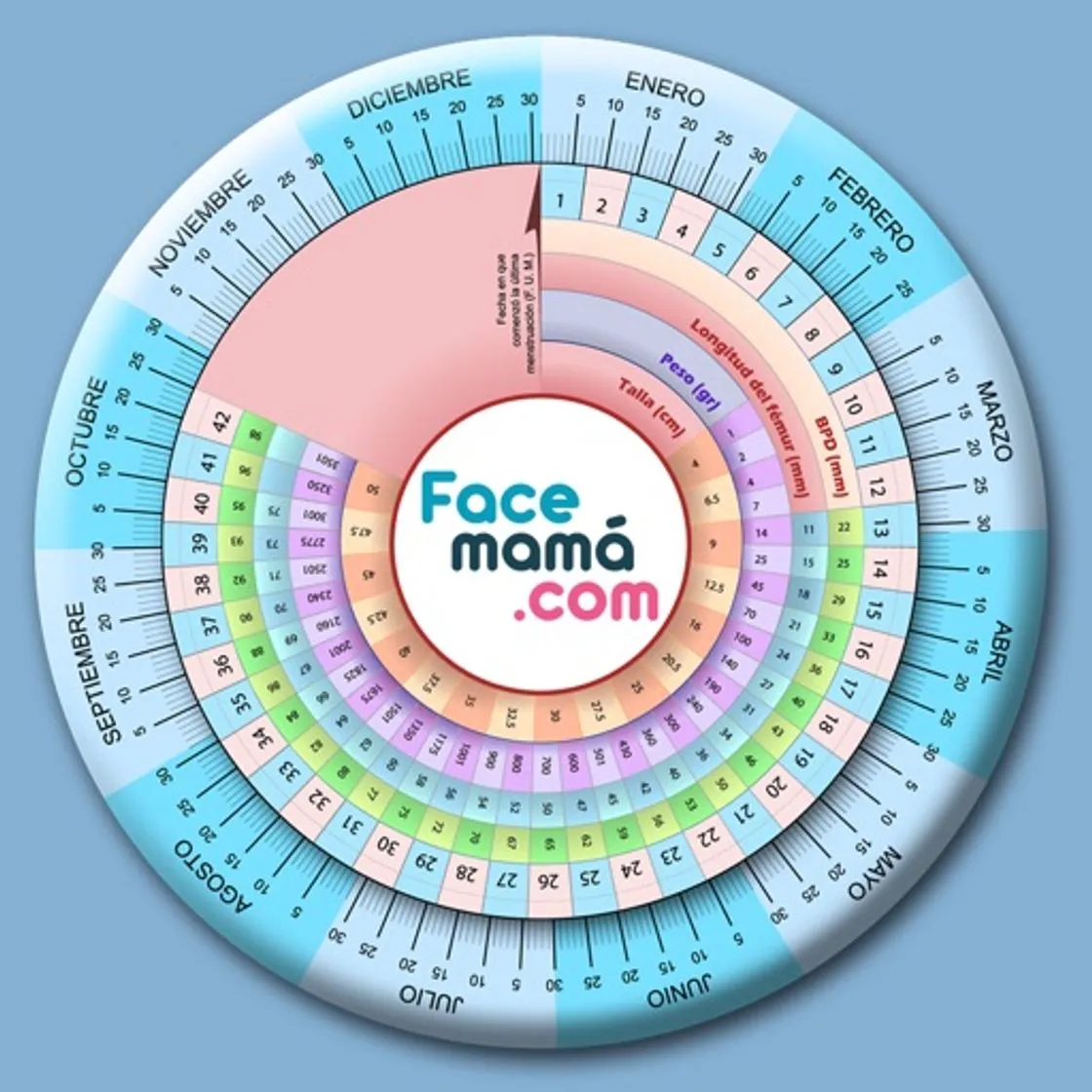 Pregnancy Gestogram
