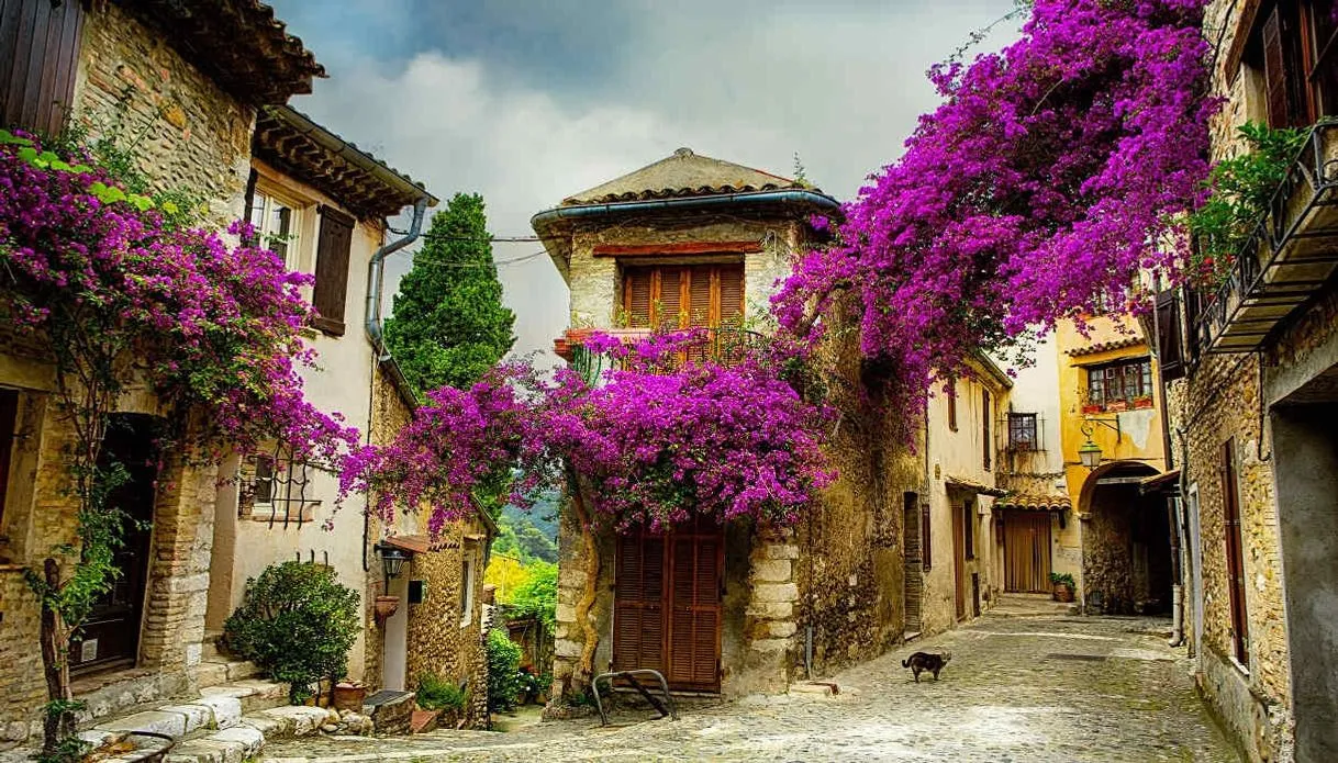 Provence