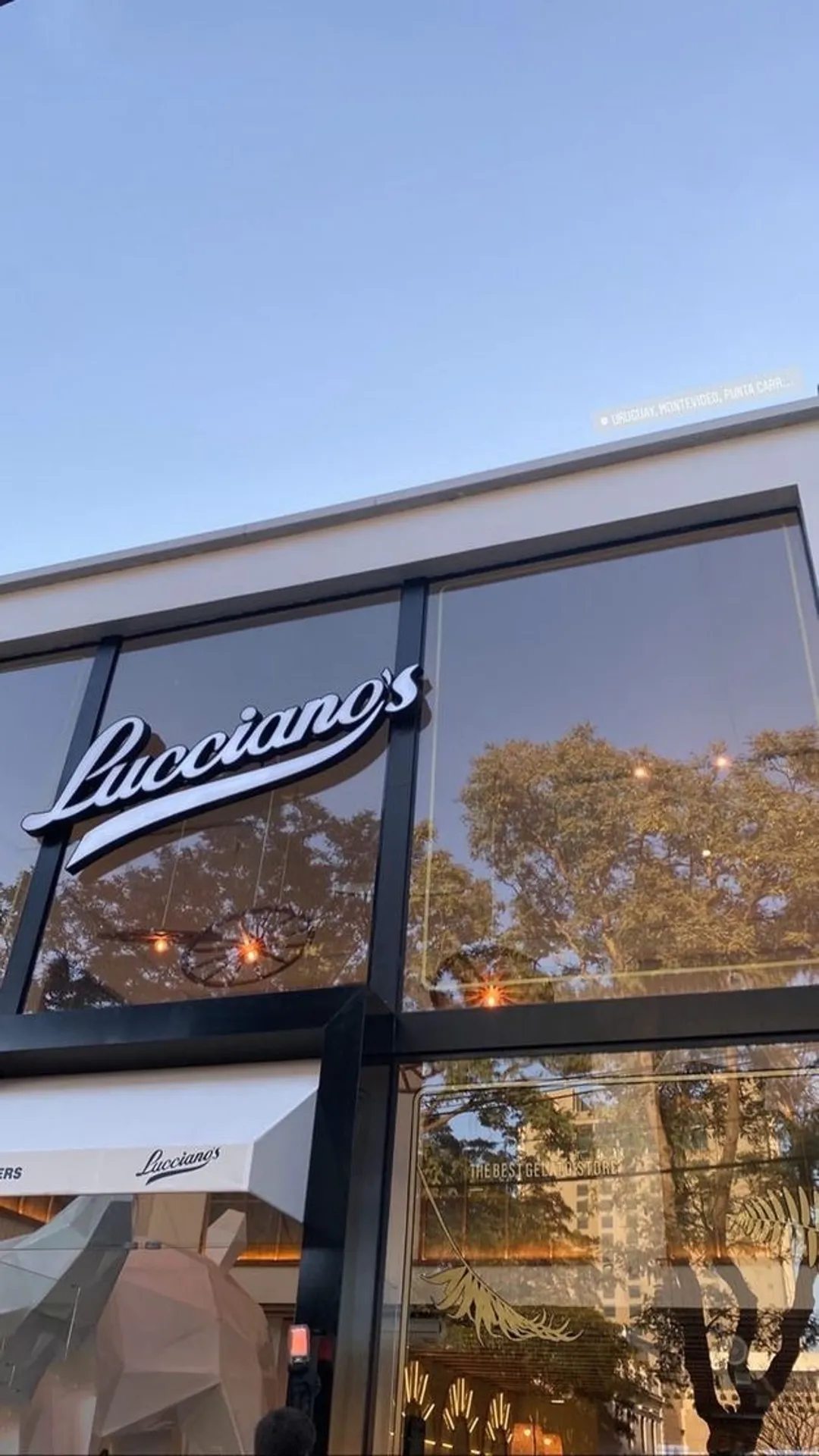 Lucciano's Puerto Madero