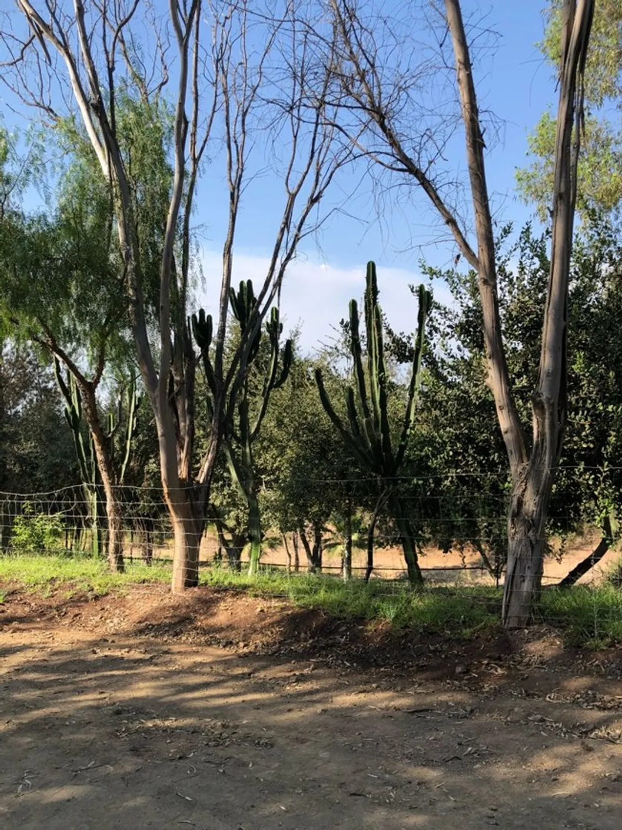 Rancho las Ilusiones