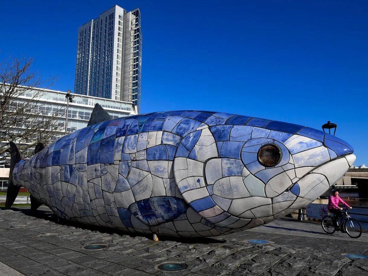 The Big Fish