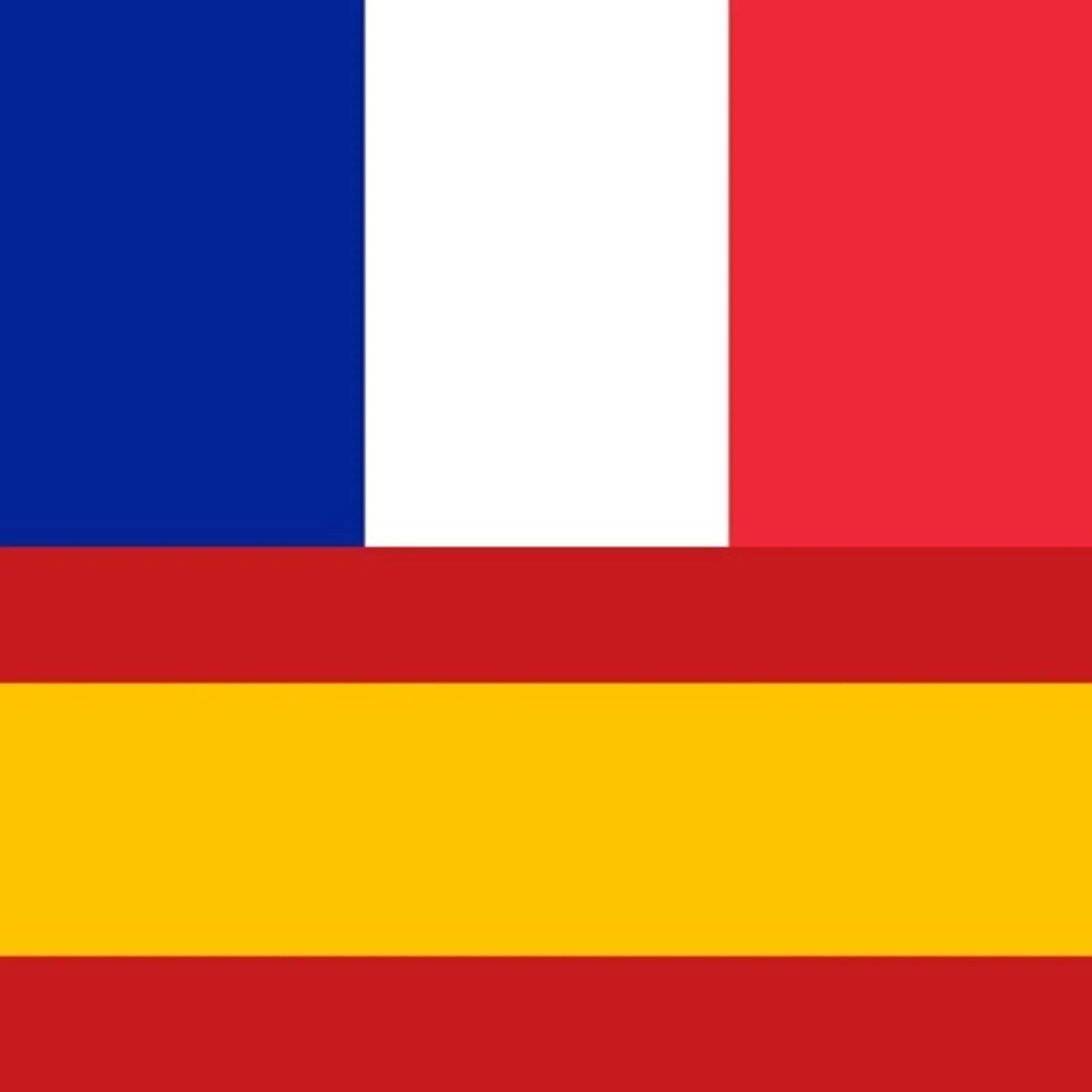 French Spanish Dictionary++