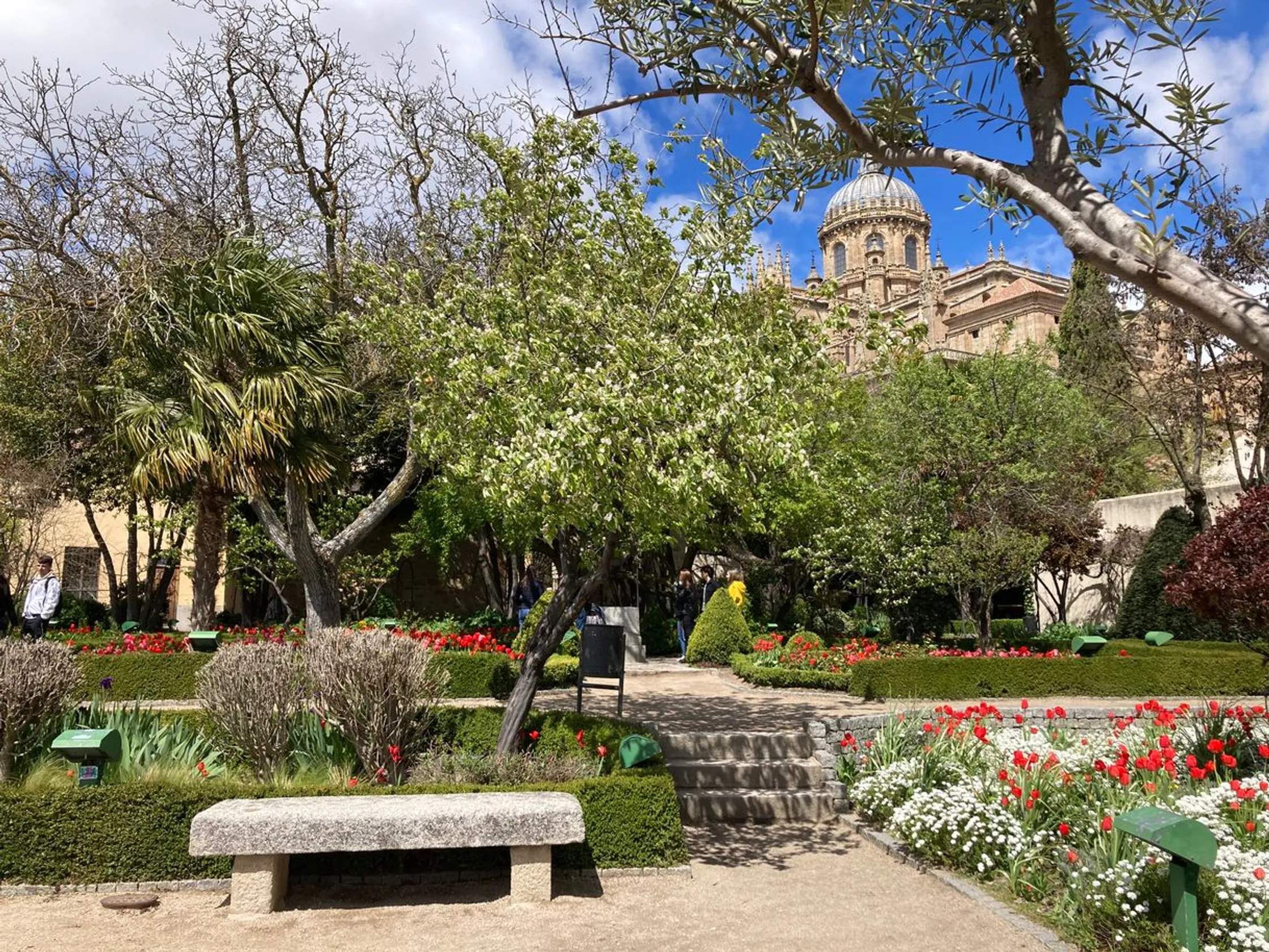Salamanca
