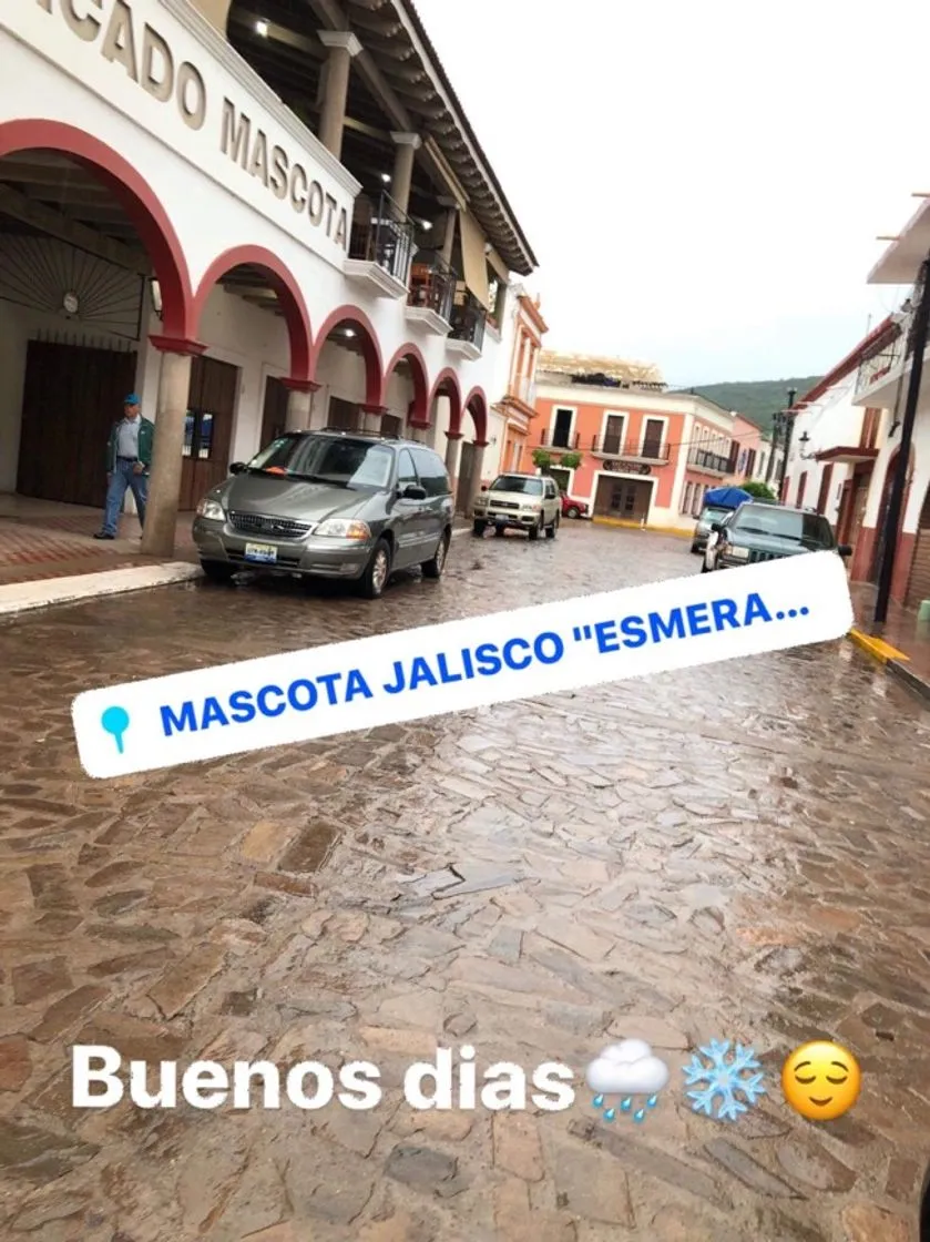 Mascota Jalisco