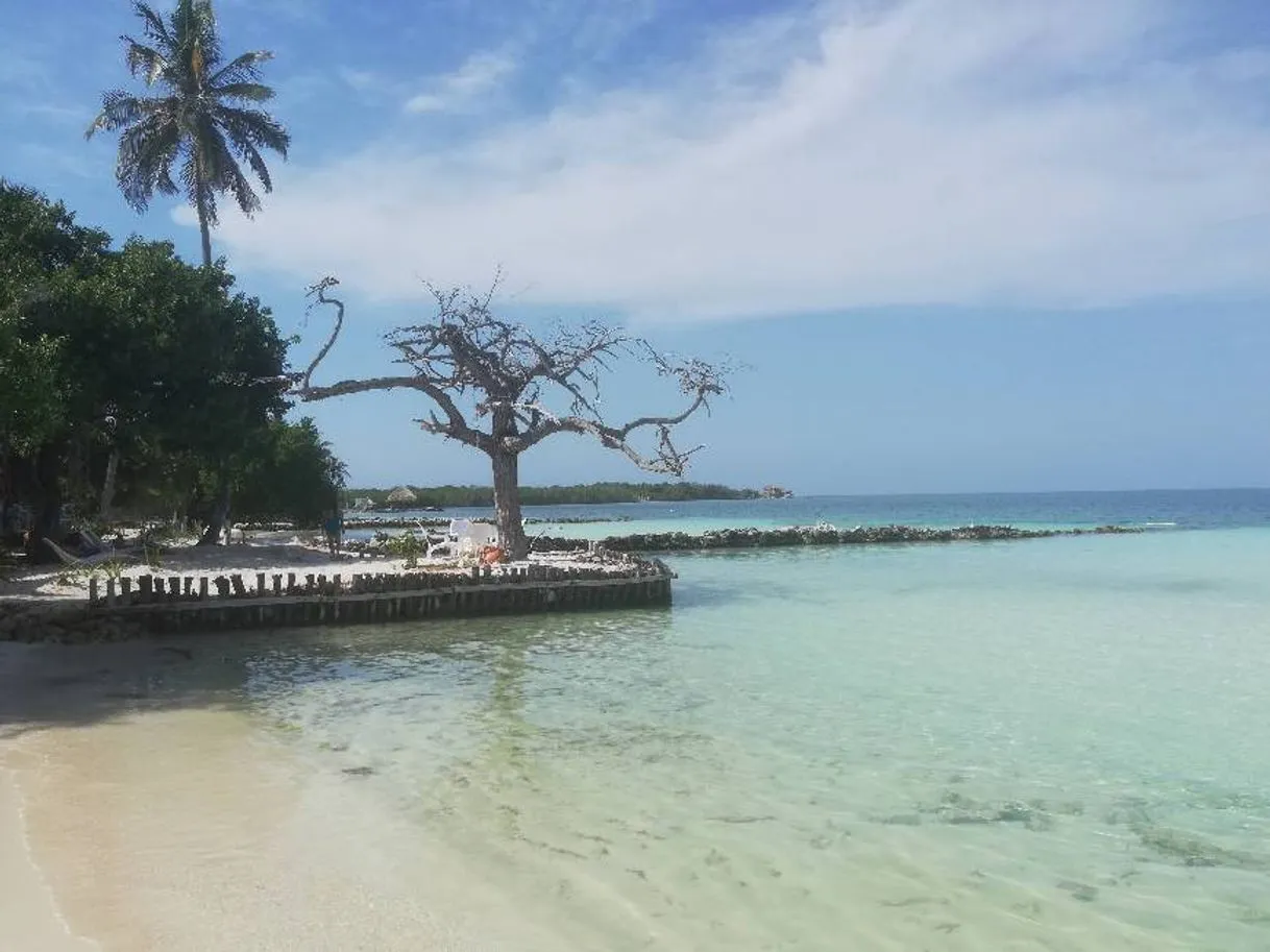 Isla Palma