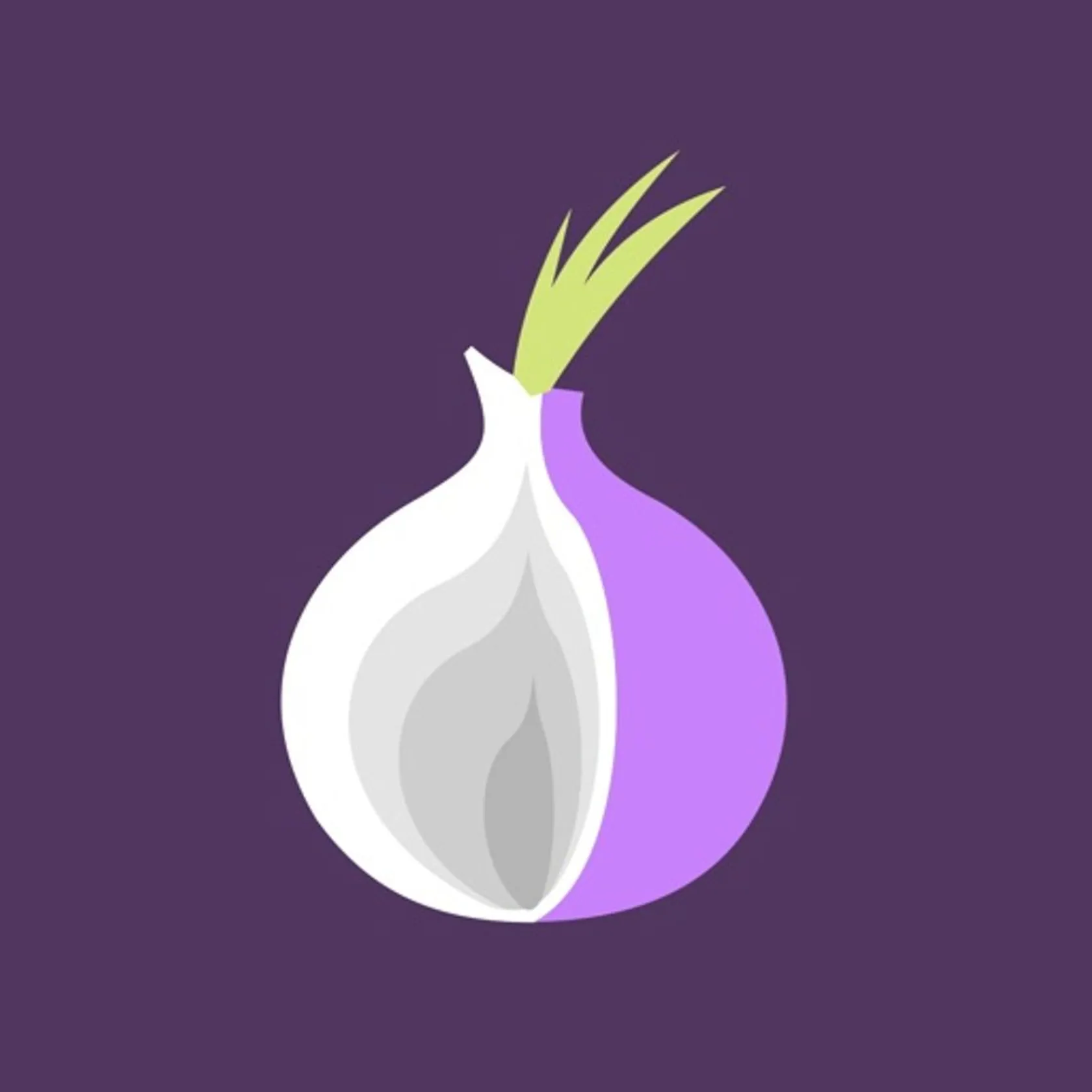TOR Browser Private Web