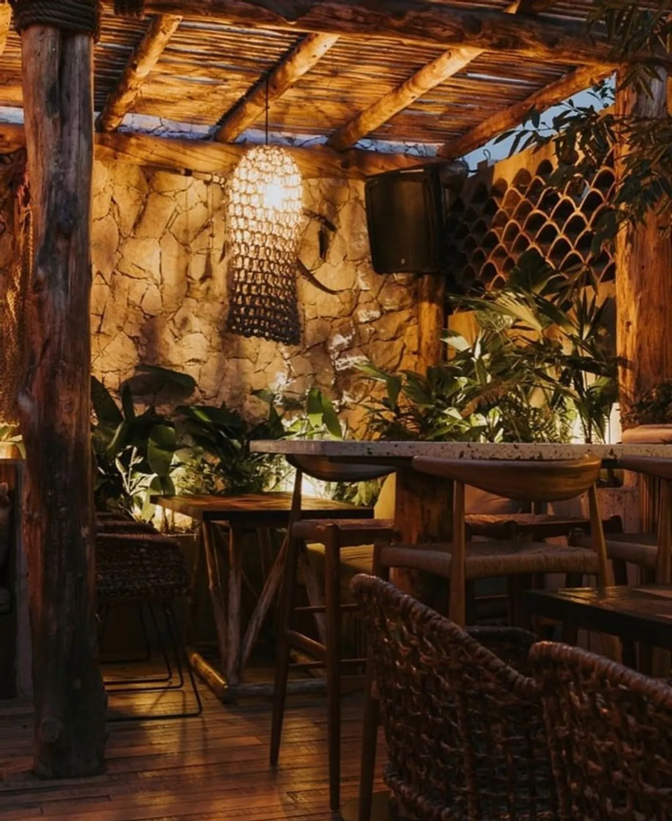 Lobo Social Club