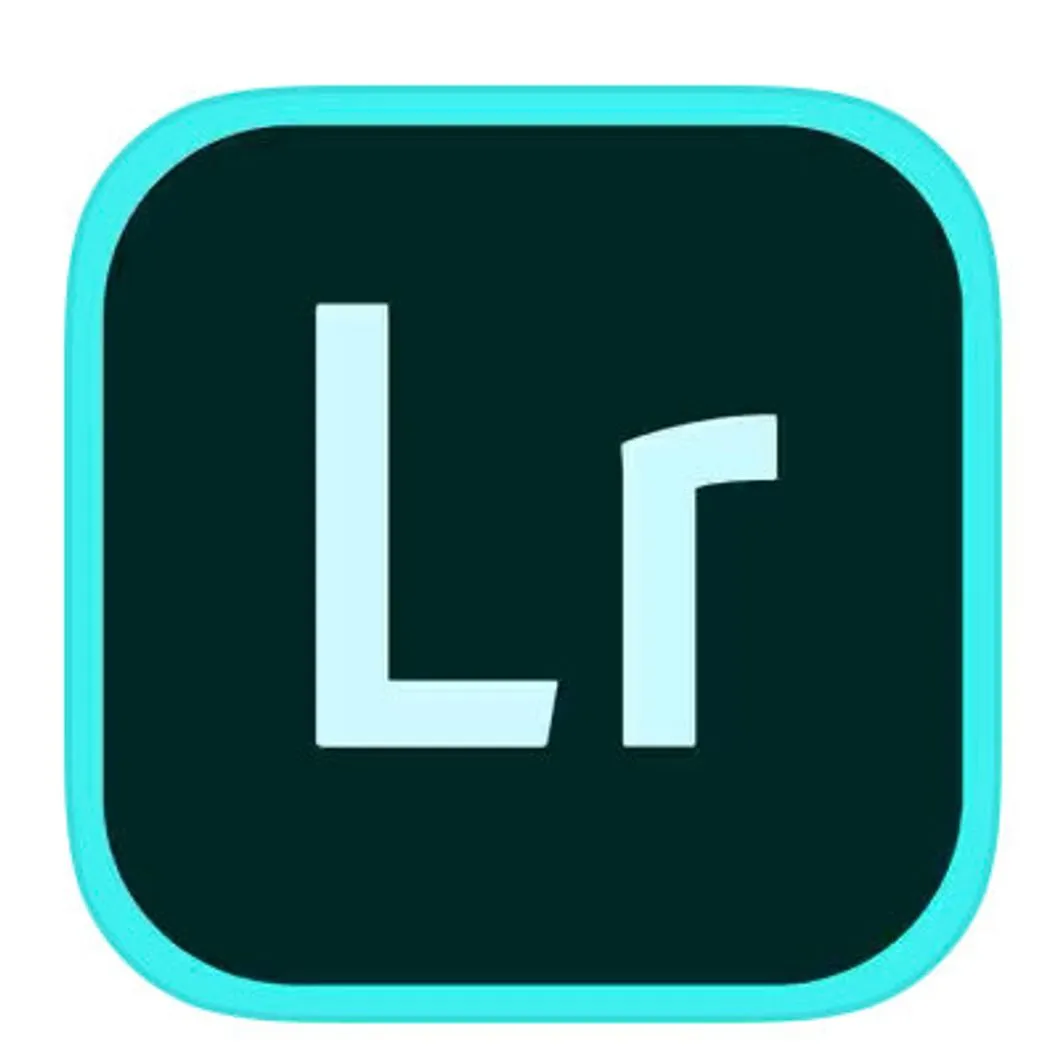 Lightroom Mobile Edits foi Soft/Dark Academia