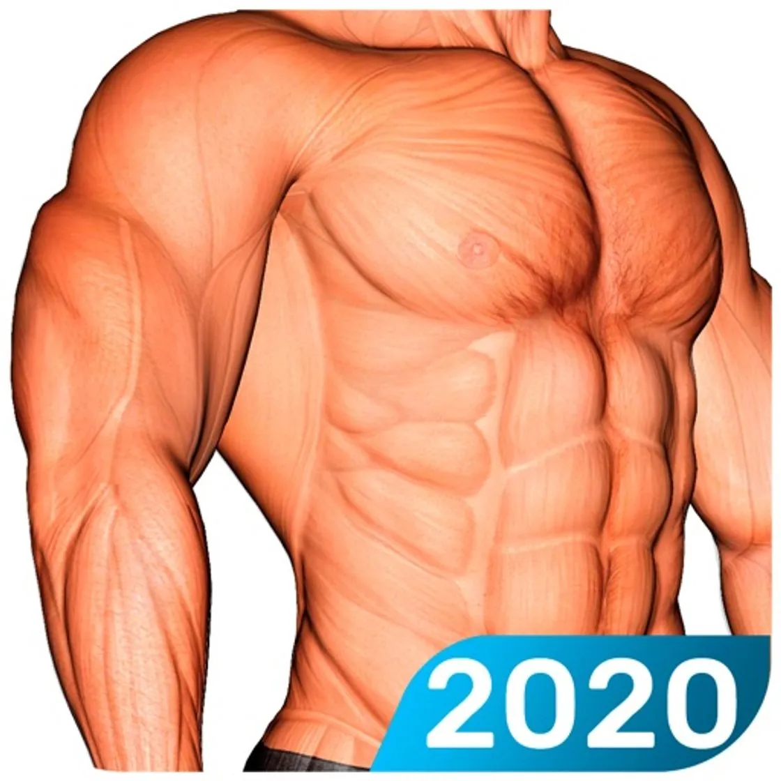 EresFitness