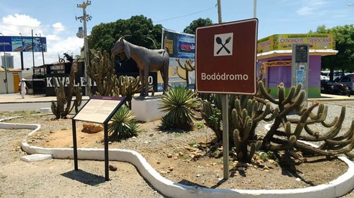 Bêra D'Água Bodódromo
