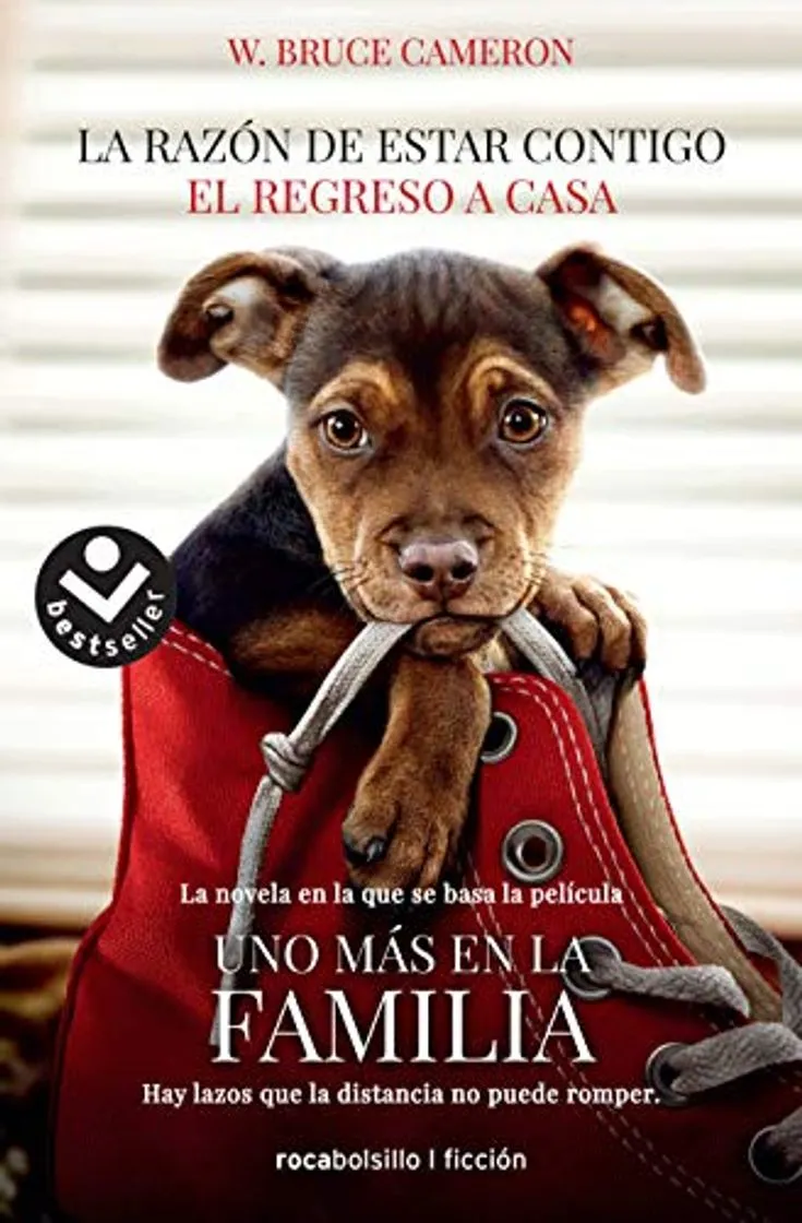 La razón de estar contigo. El regreso a casa