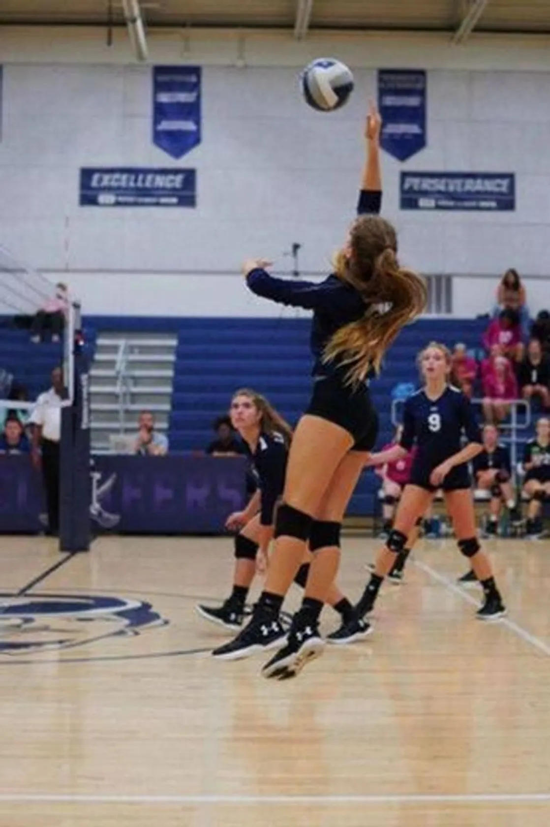 Voleibol ๐