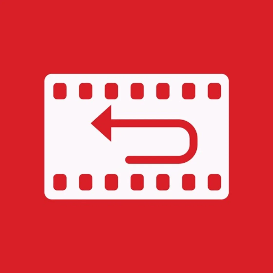 Reverser Camera Loop Repeator