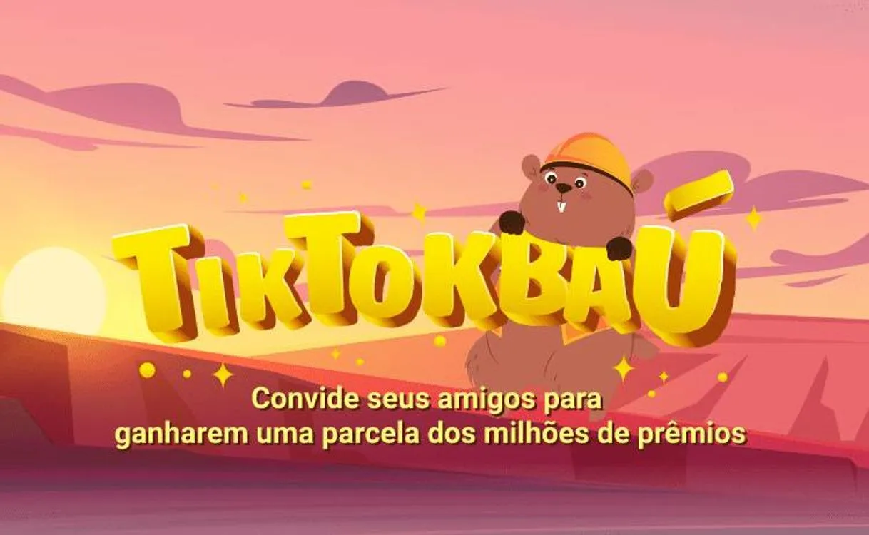 TikTok Baú