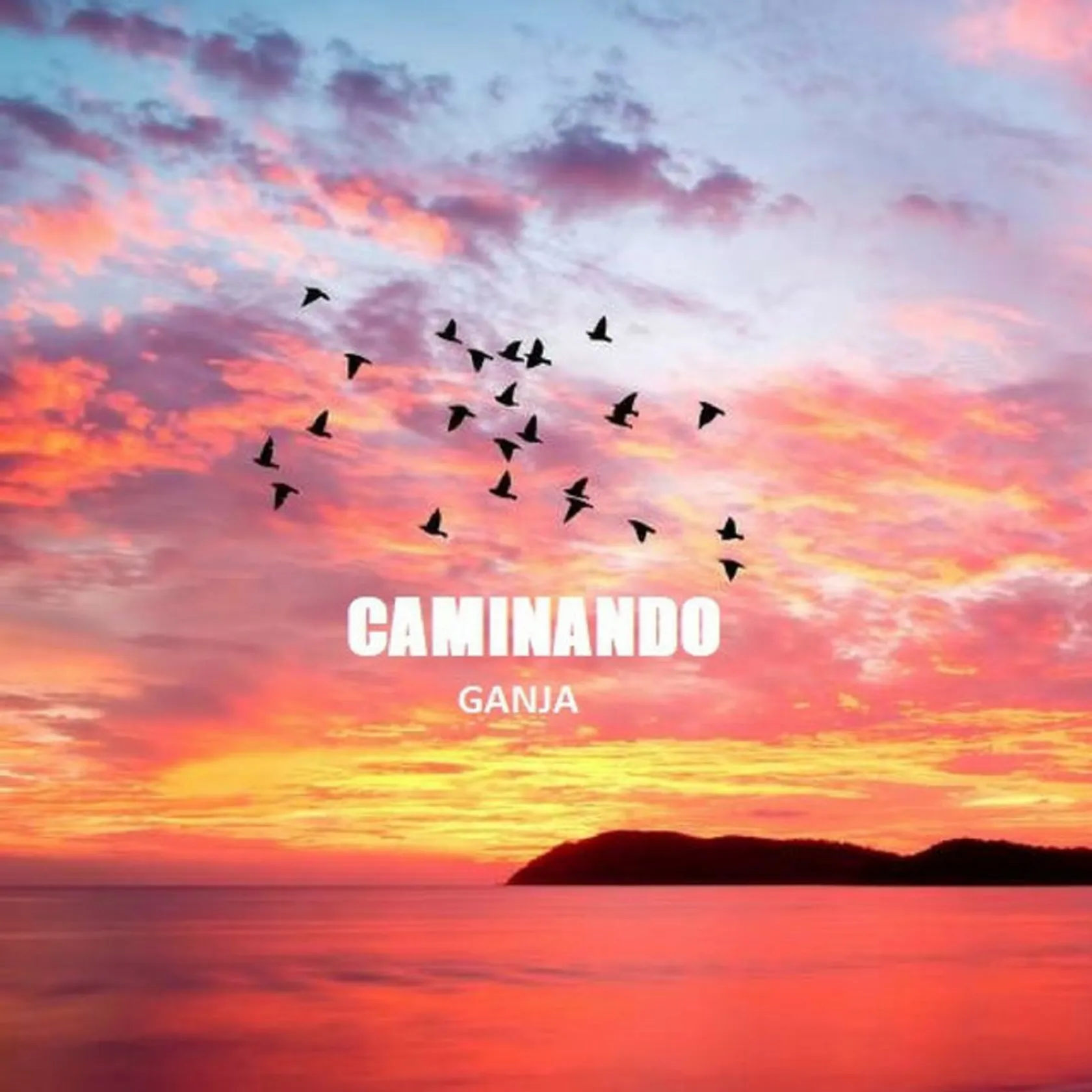 Caminando