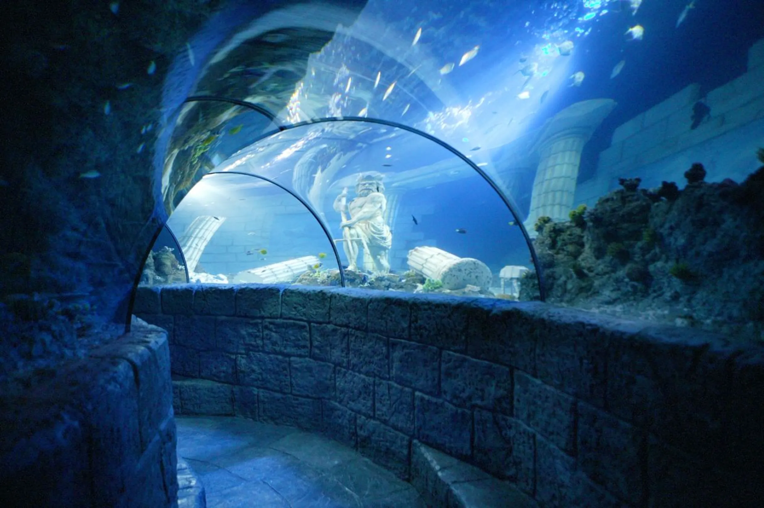 Sea Life Porto