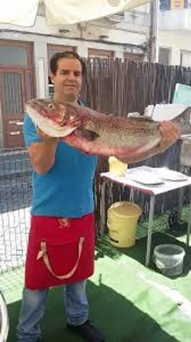 O Robalo