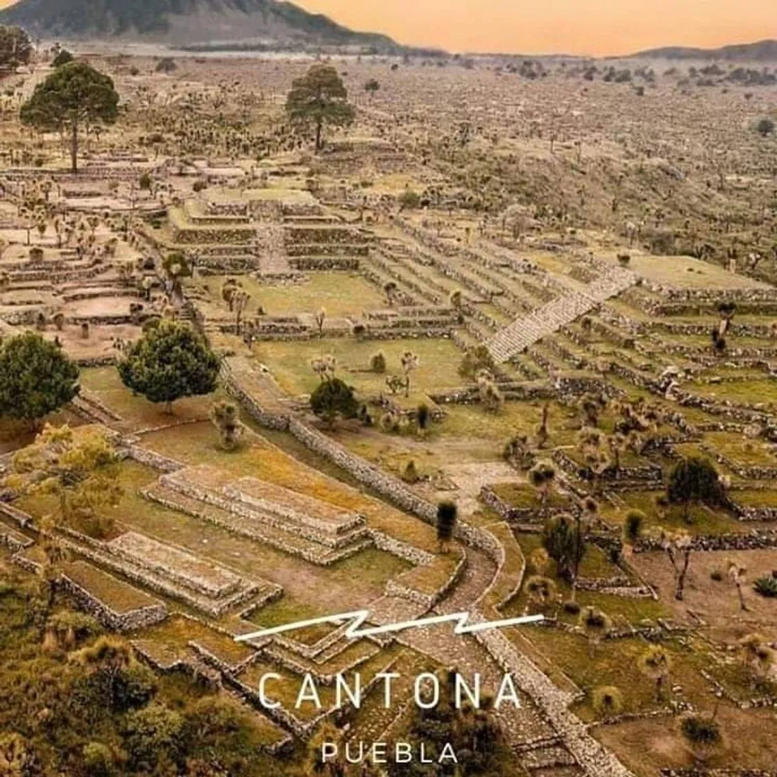 Cantona