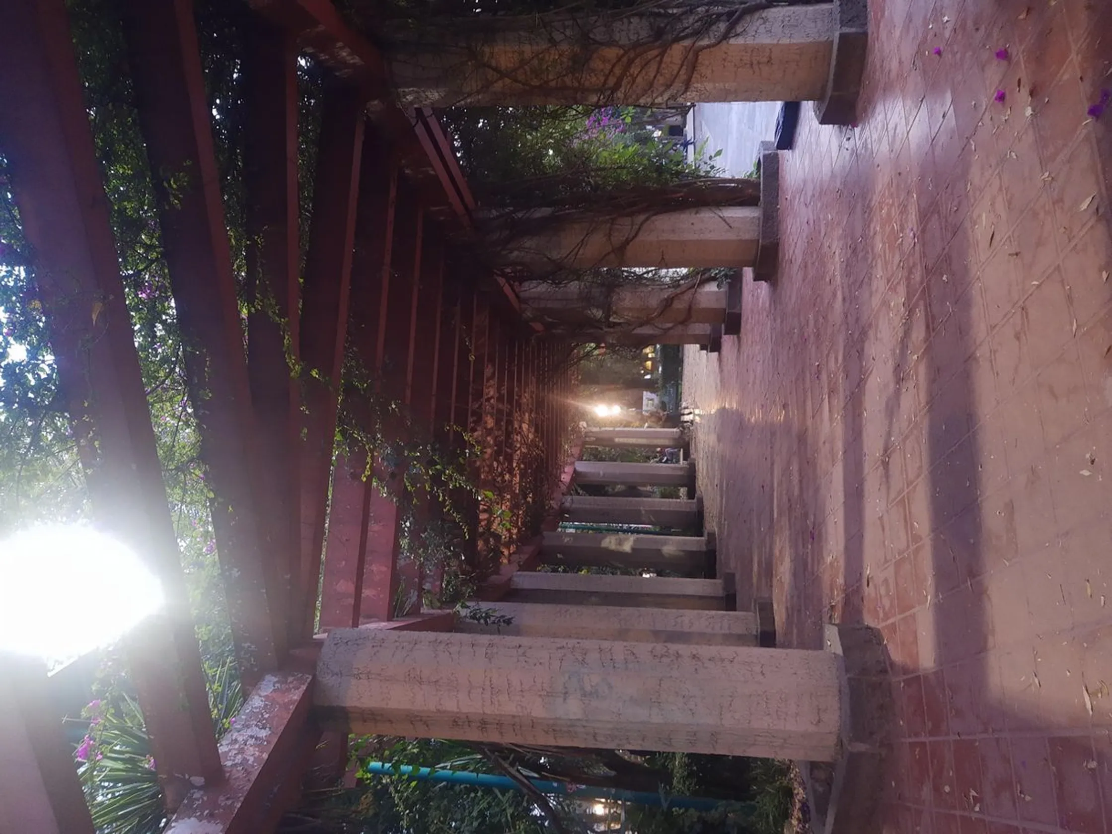 Parque México