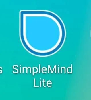 Simple Mind