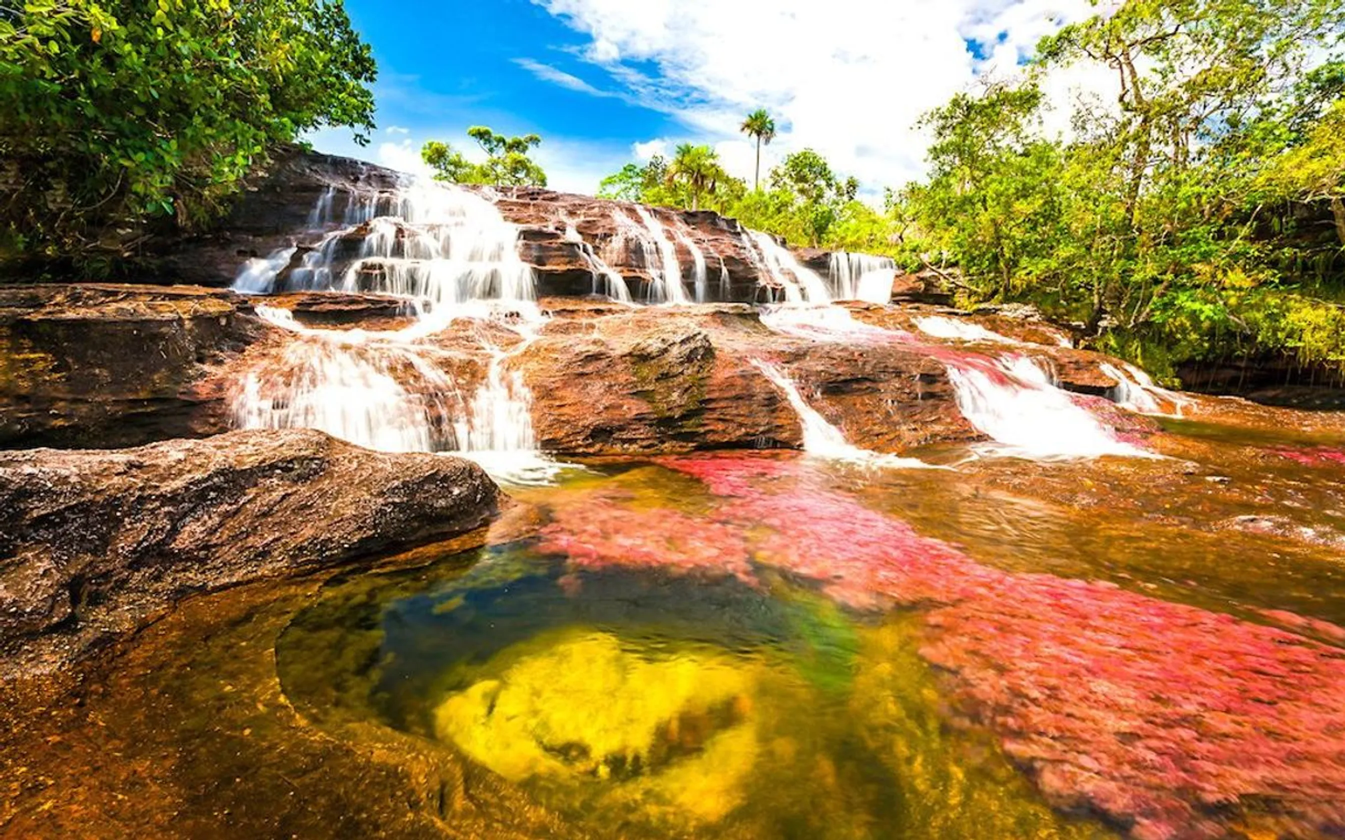 Caño Cristal