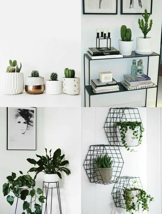 Decor room