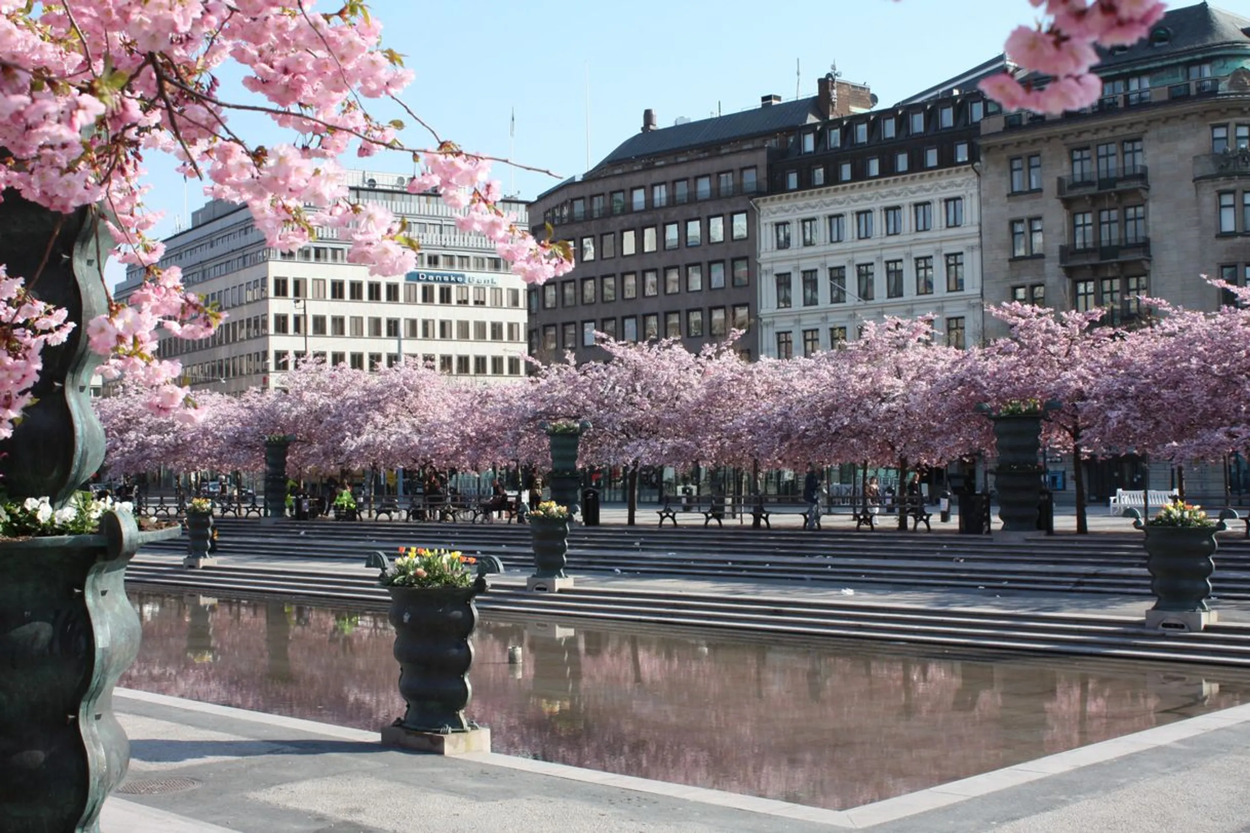 Kungsträdgården